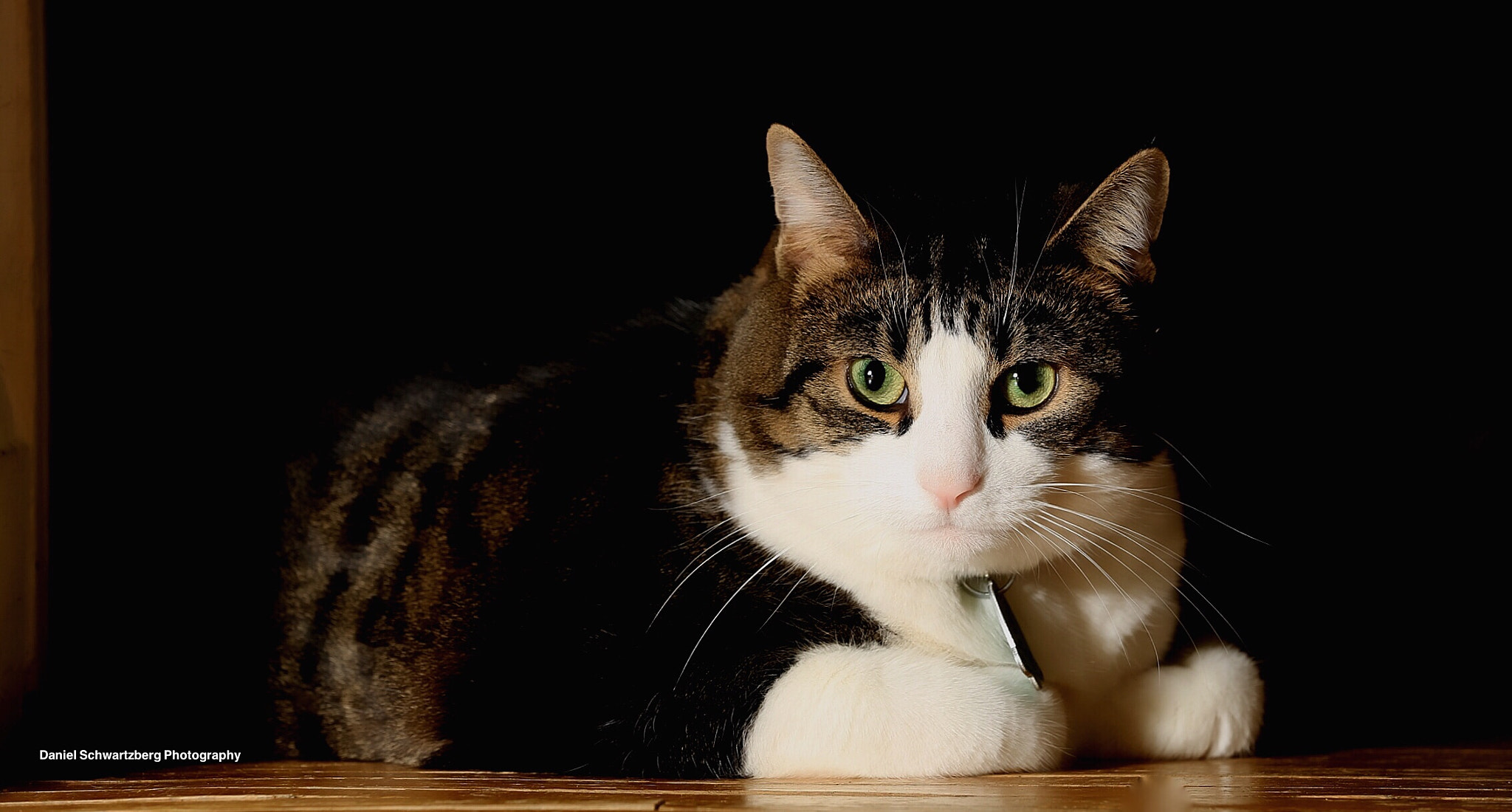 Canon EF 70-200mm F2.8L IS II USM sample photo