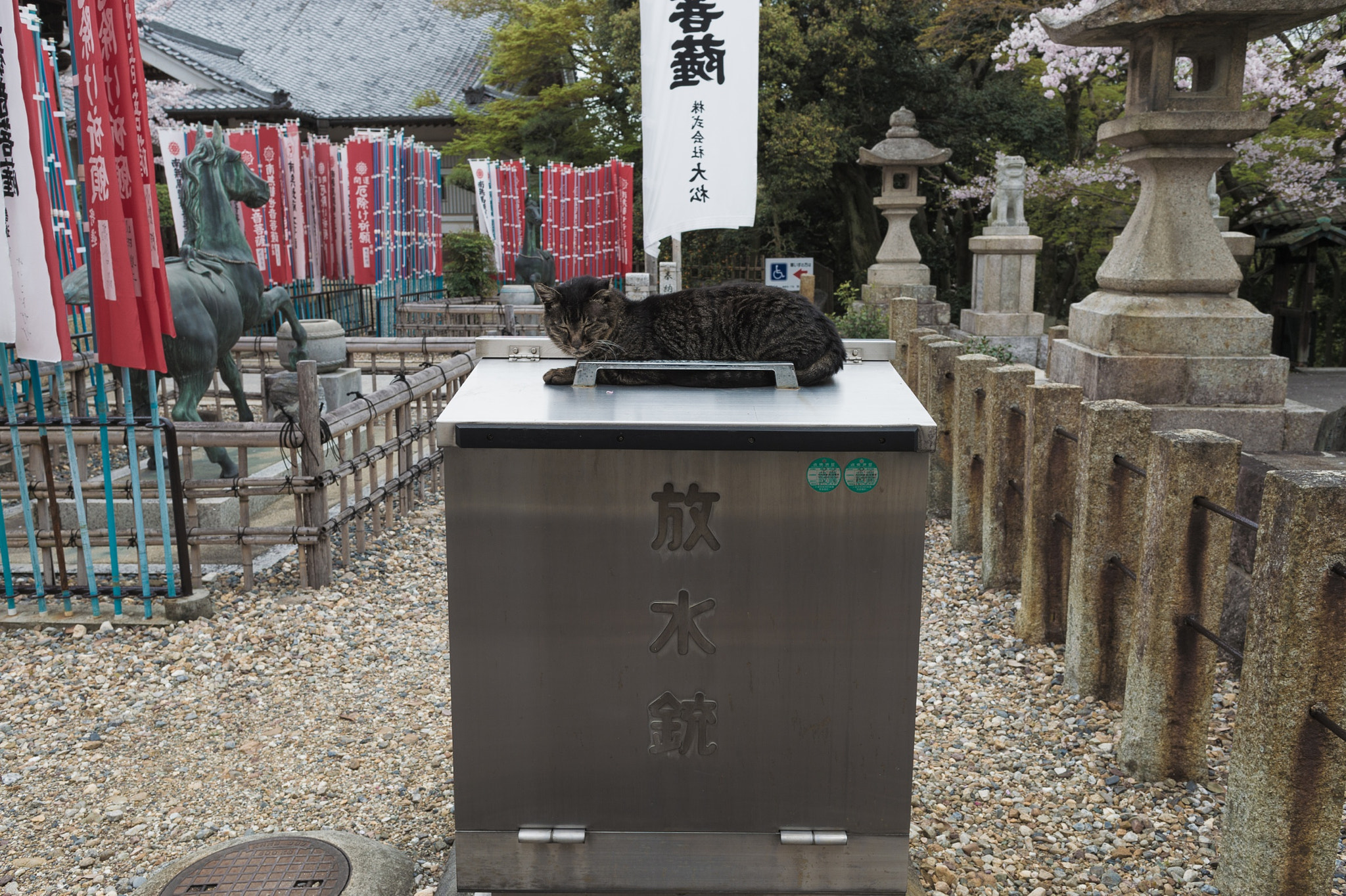 Nikon Df sample photo