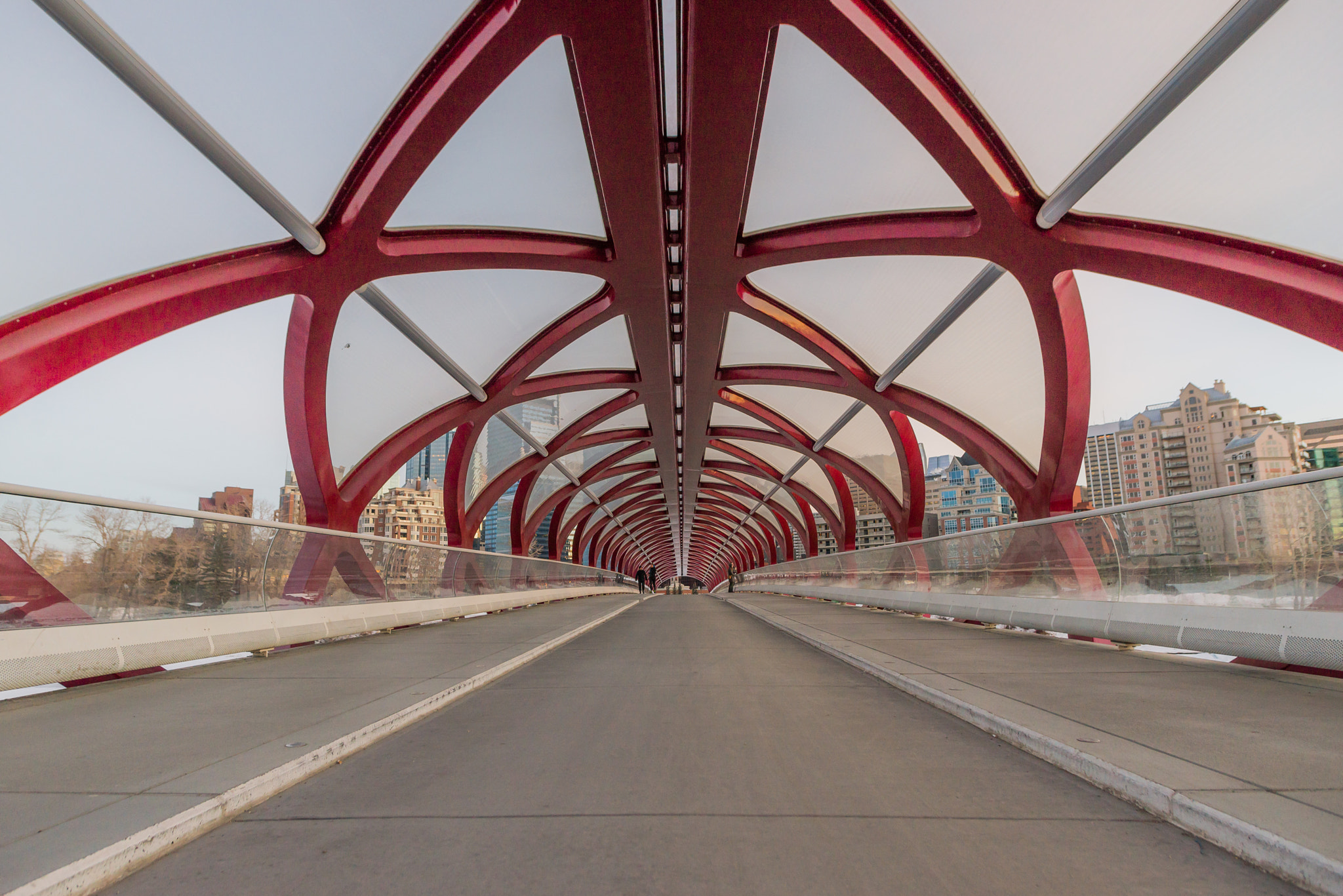 Nikon D610 + Sigma 20mm F1.8 EX DG Aspherical RF sample photo. Symmetric peace bridge photography