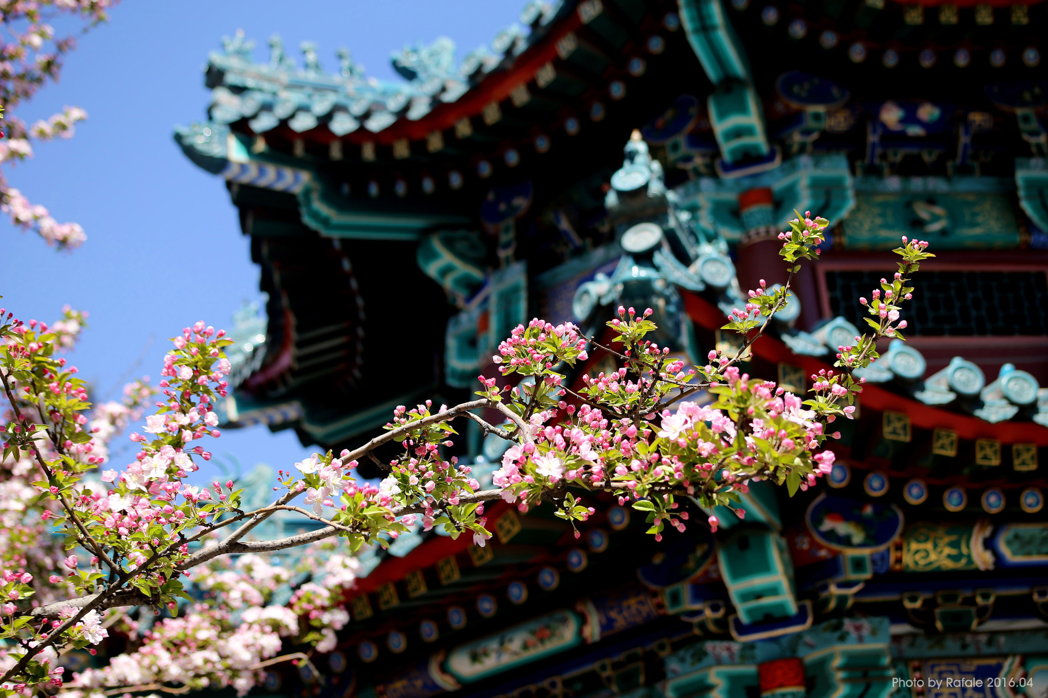 Canon EF 70-210mm f/3.5-4.5 USM sample photo