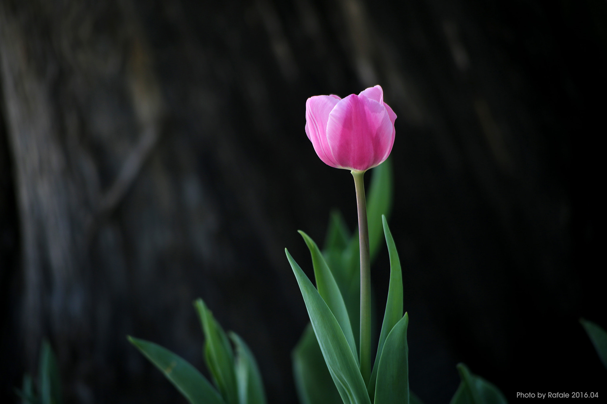 Canon EF 70-210mm f/3.5-4.5 USM sample photo