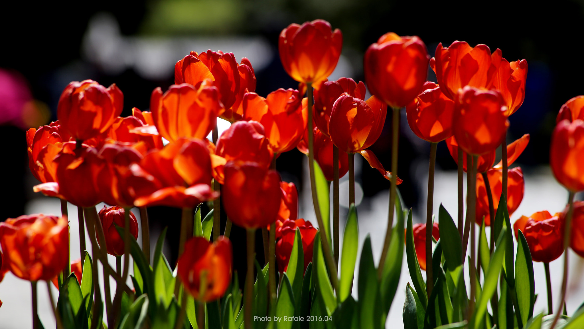 Canon EF 70-210mm f/3.5-4.5 USM sample photo