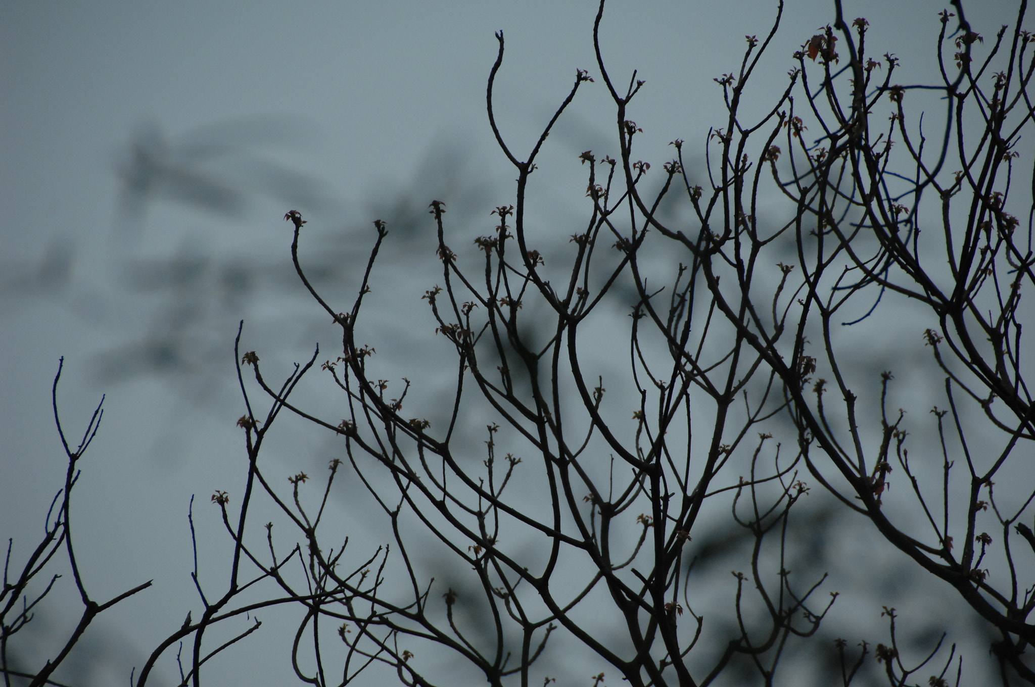 Nikon D2X sample photo. .. photography