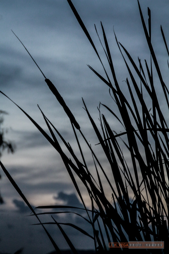Canon EOS 650D (EOS Rebel T4i / EOS Kiss X6i) sample photo. Fx photography