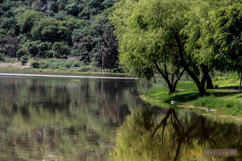 Canon EOS 650D (EOS Rebel T4i / EOS Kiss X6i) sample photo. Fx photography