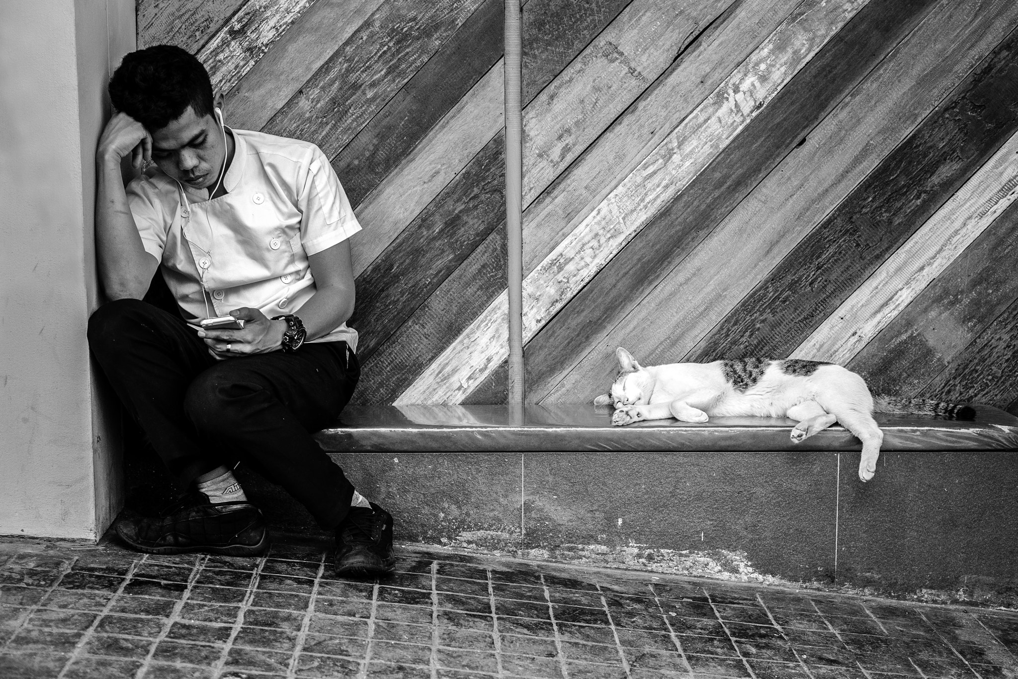 LUMIX G 25/F1.7 sample photo. Sleepless society photography