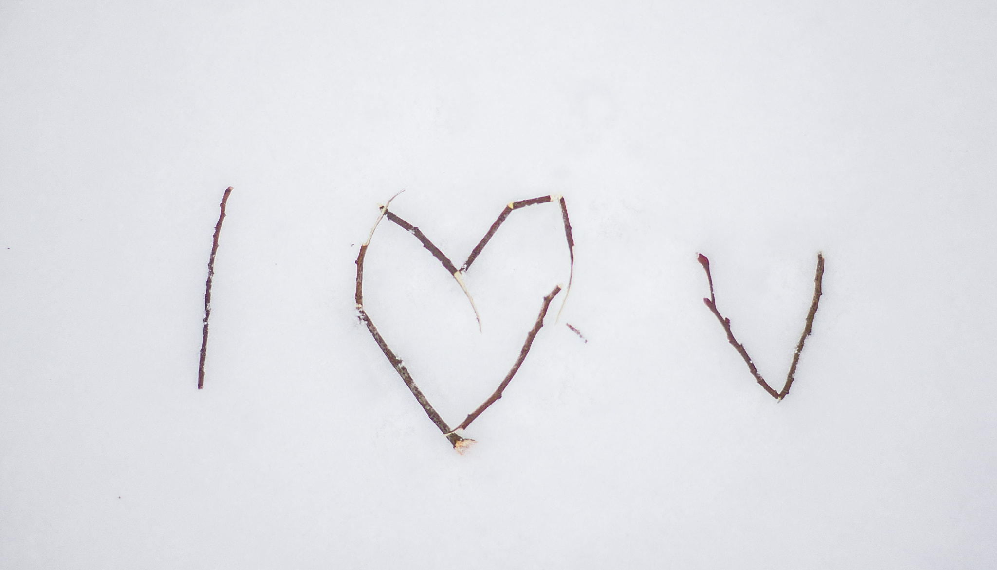 Sony Alpha DSLR-A500 + Sony 50mm F1.4 sample photo. Nature on nature / branches on snow photography