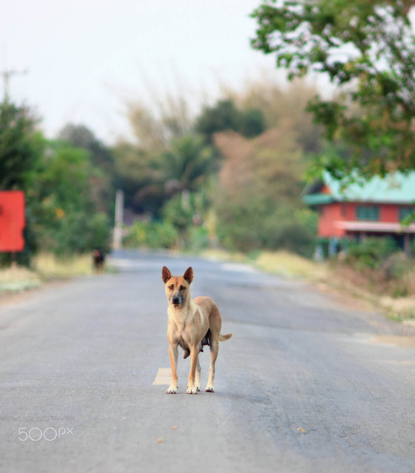 Canon 1-65535mm sample photo. 123.jpg photography