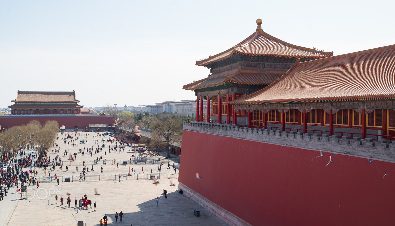 Sony a7R II + ZEISS Distagon T* 35mm F1.4 sample photo. Forbidden city photography