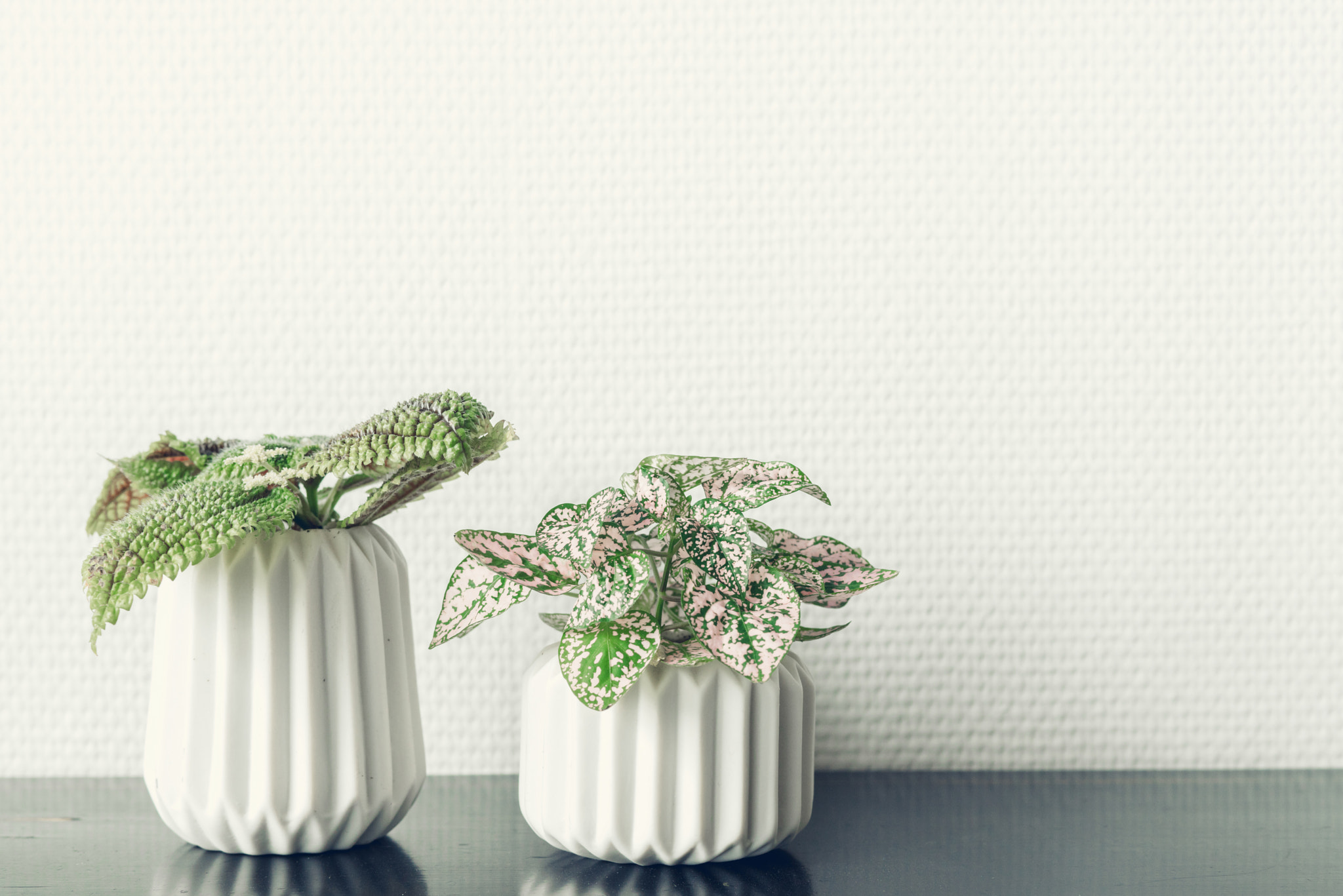 Sony a7R + Sony 50mm F1.4 sample photo. Flower pots on a black shelf photography