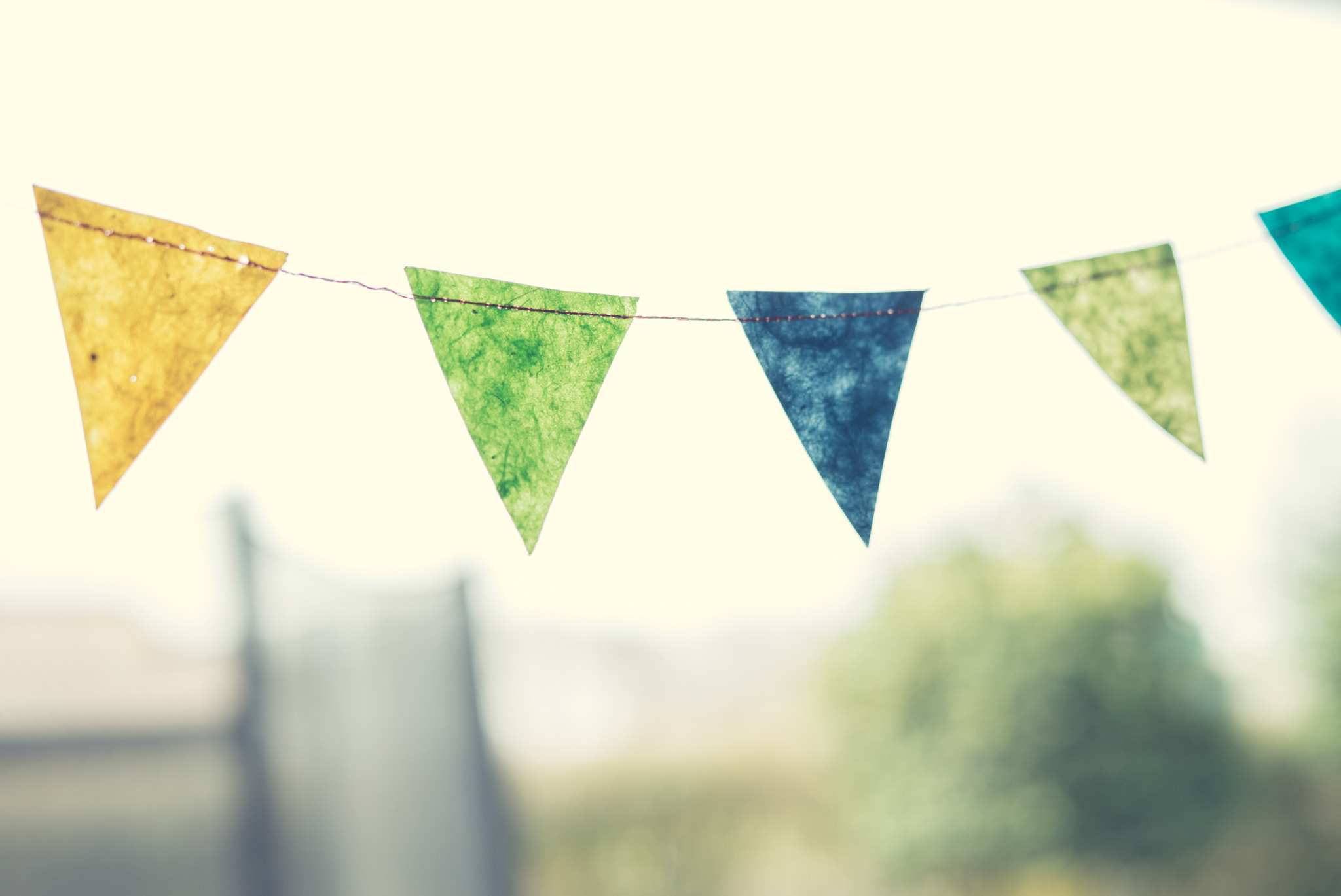 Sony a7R + Sony 50mm F1.4 sample photo. Birthday flags in a garden photography