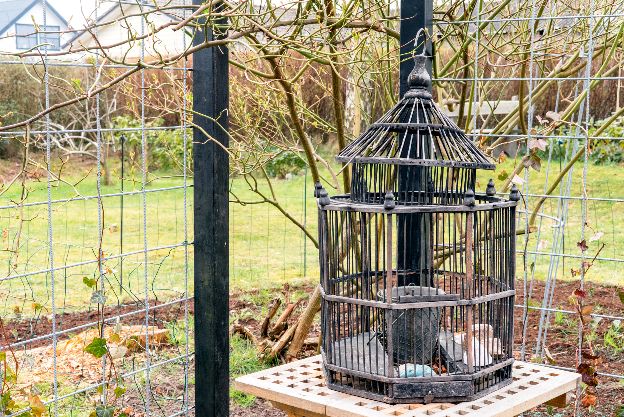 Sony a7R + Sony 50mm F1.4 sample photo. Wooden birdcage in a garden photography