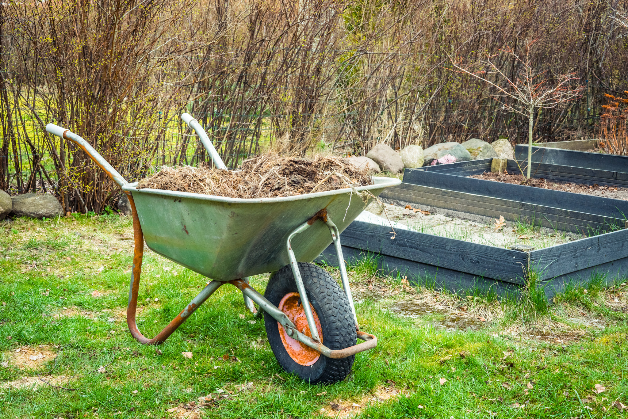 Sony a7R + Sony 50mm F1.4 sample photo. Wheelbarrow with garden waste photography