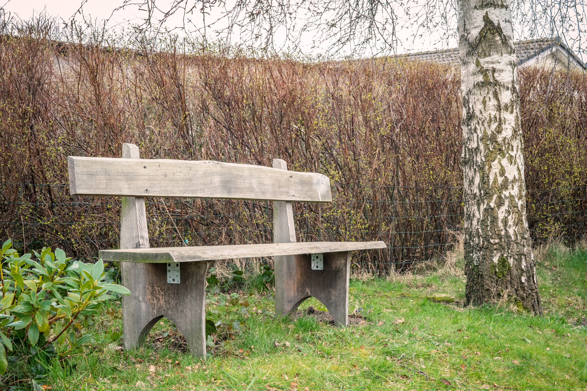 Sony a7R + Sony 50mm F1.4 sample photo. Wooden garden bench in the spring photography