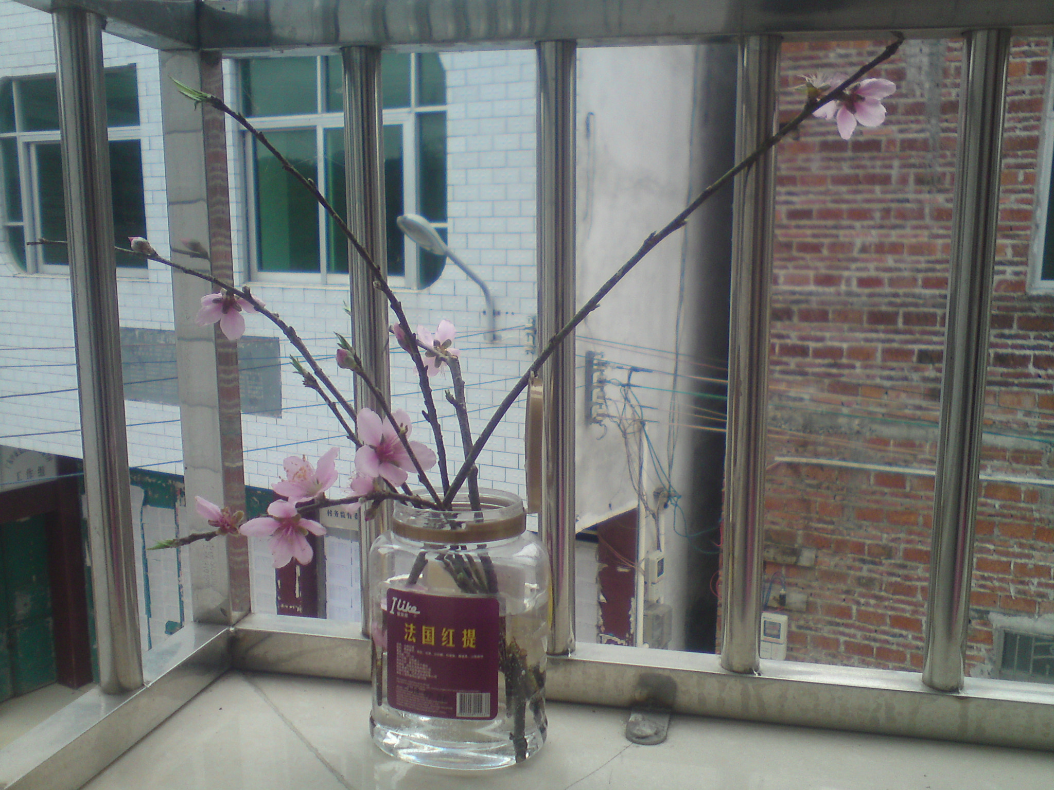 Sony Ericsson W995 sample photo. 阳台上的桃花 photography