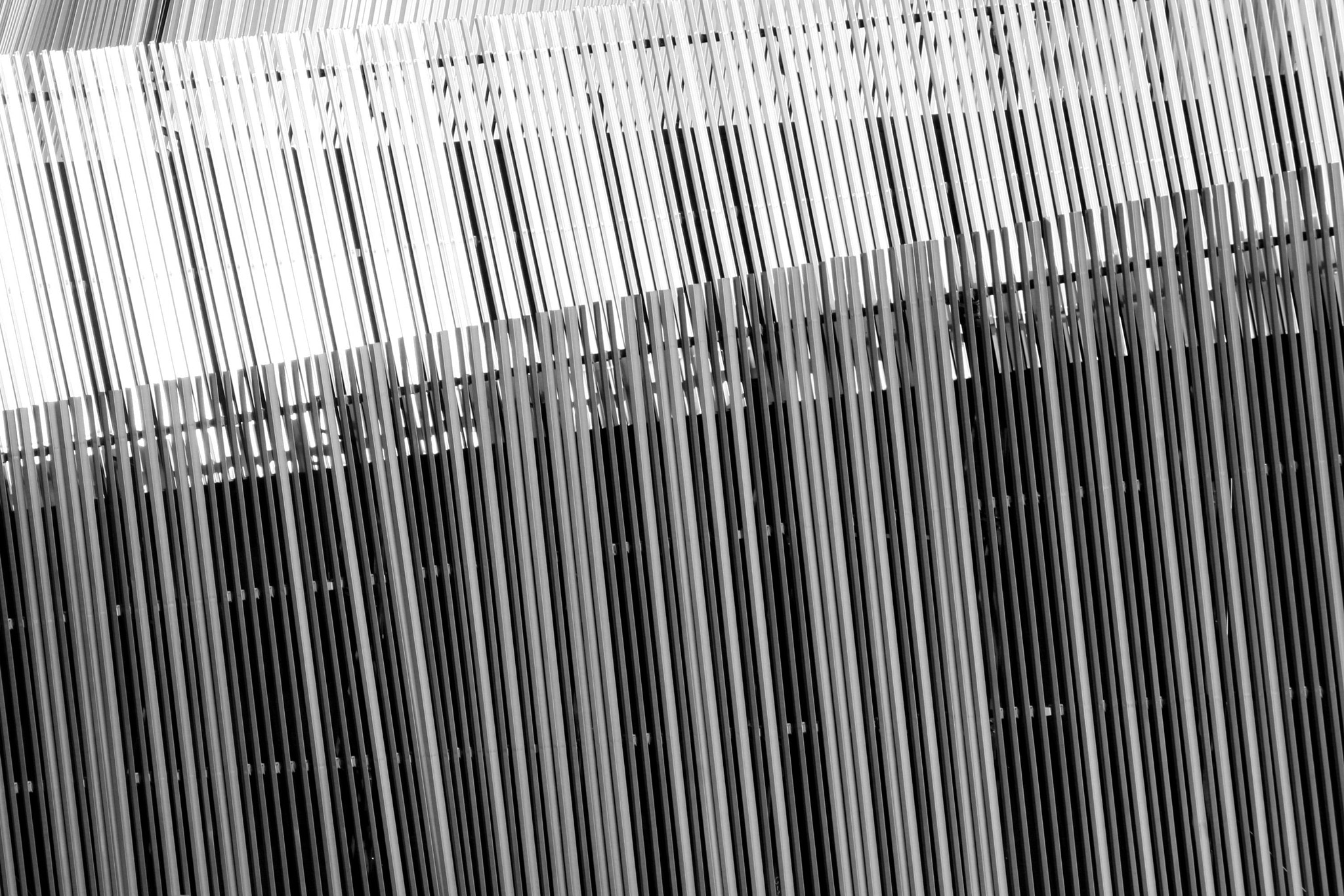 Canon EOS 30D sample photo. Simplicity photography
