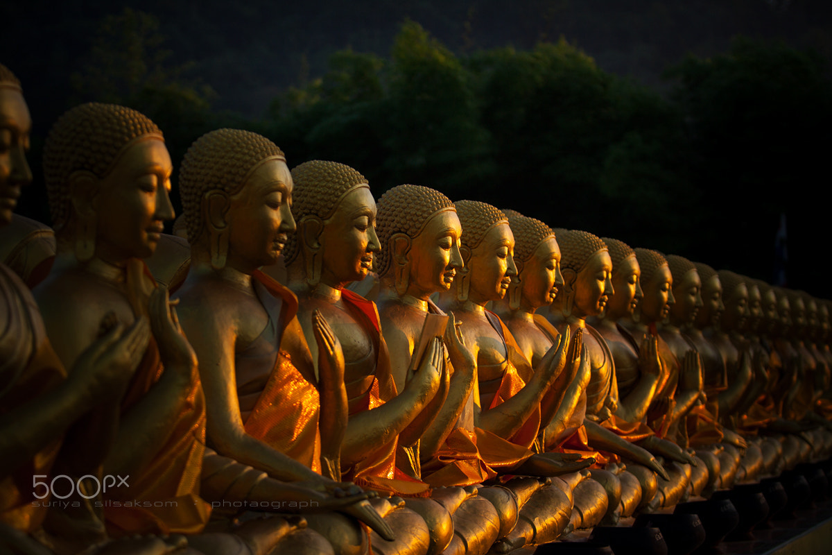 Canon EOS 50D + Canon EF 70-200mm F2.8L USM sample photo. Buddha statue in thailand photography