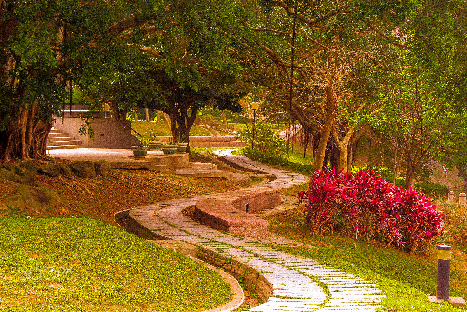 Sony Alpha DSLR-A300 sample photo. Garden trail photography