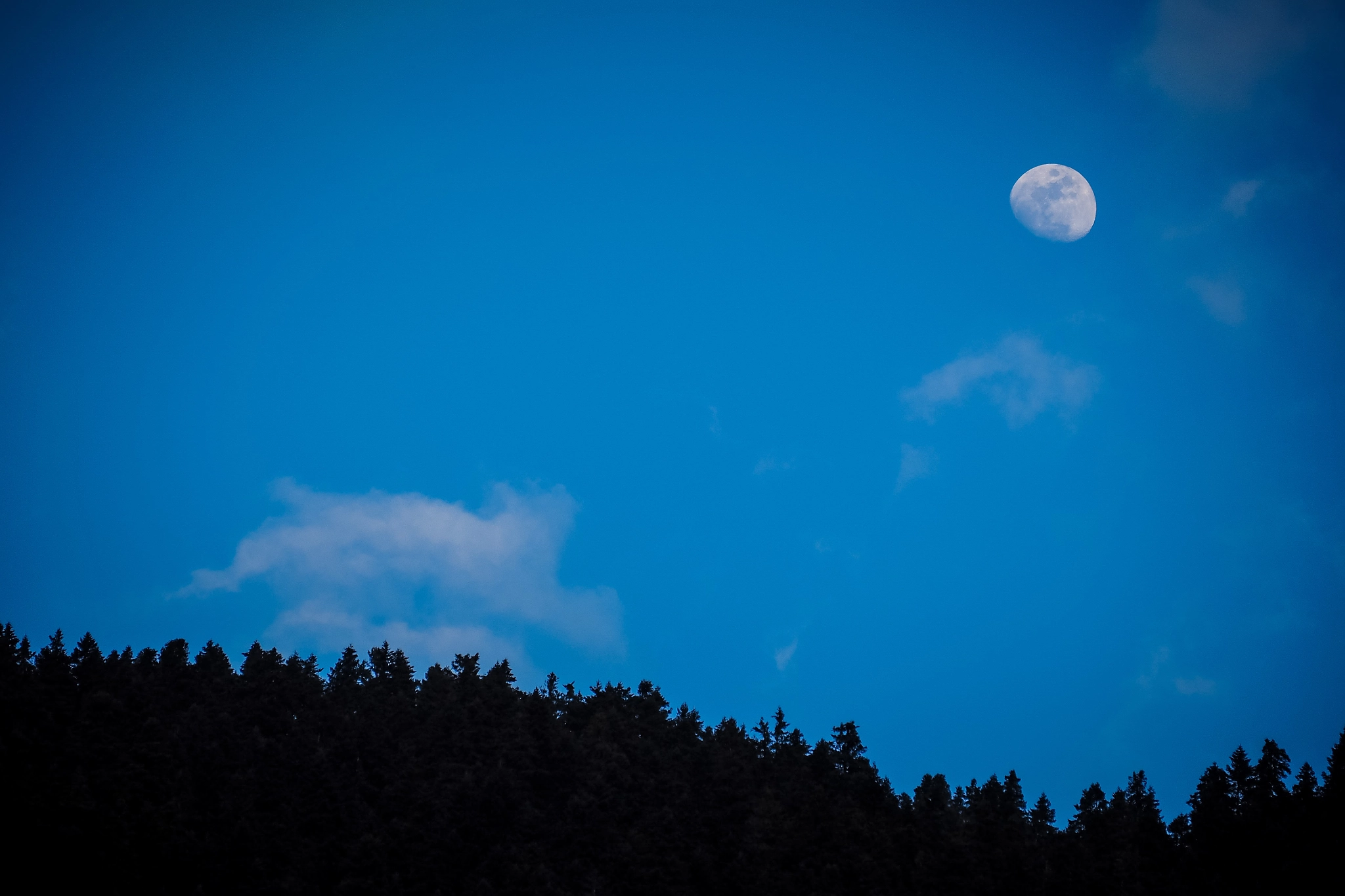 Olympus OM-D E-M10 sample photo. The moon is friend for the lonesome to talk to. photography