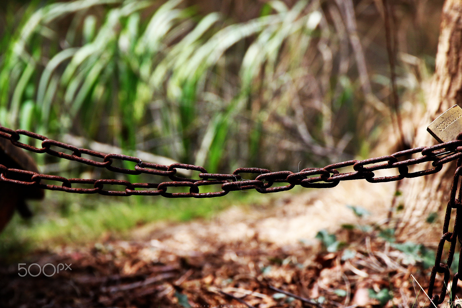 Canon EF 24-105mm F3.5-5.6 IS STM sample photo. Chains photography