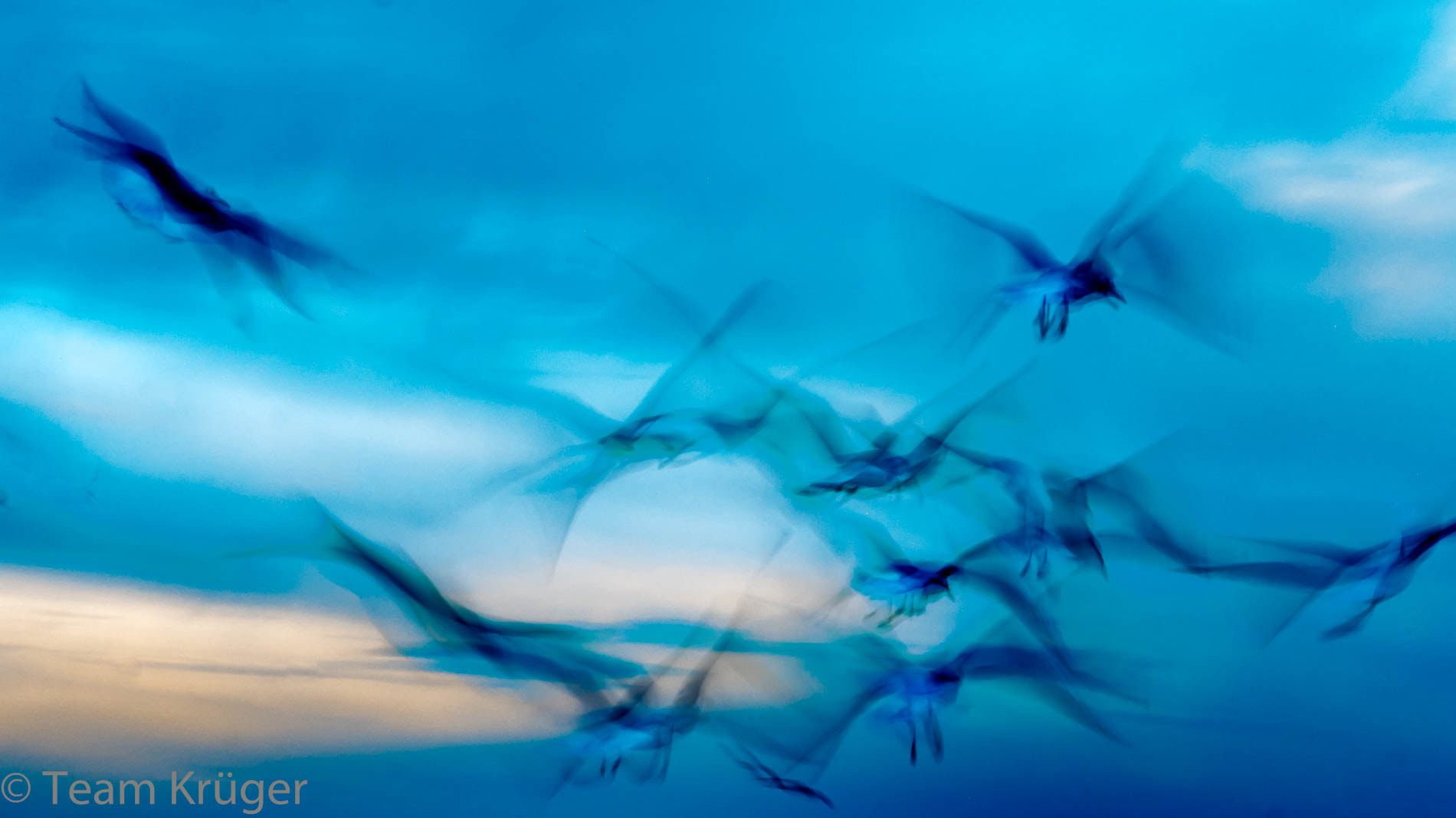 Panasonic Lumix DMC-GH3 sample photo. Im flug photography