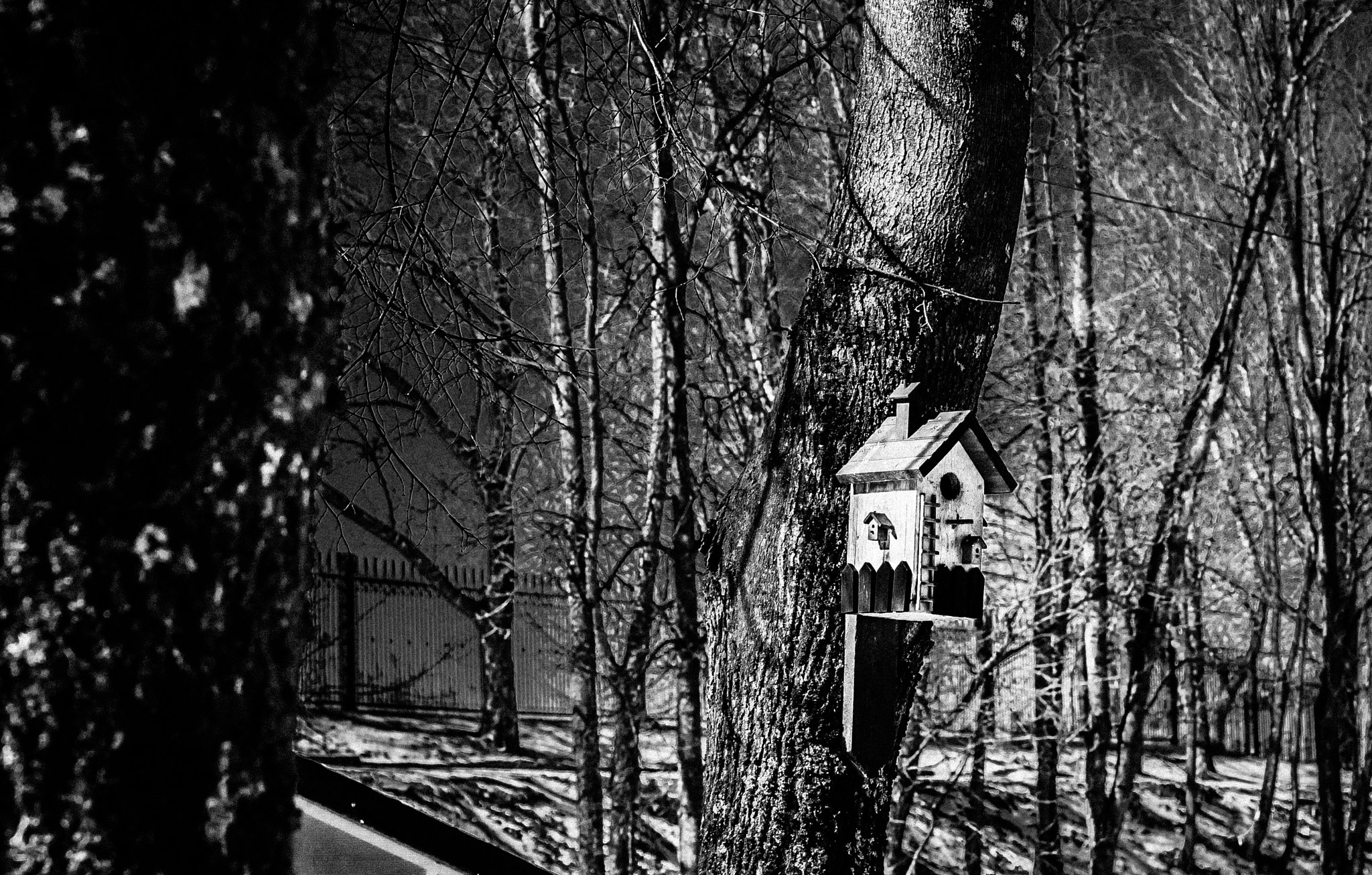 Sony 50mm F1.4 sample photo. Birdhouse / silent photography