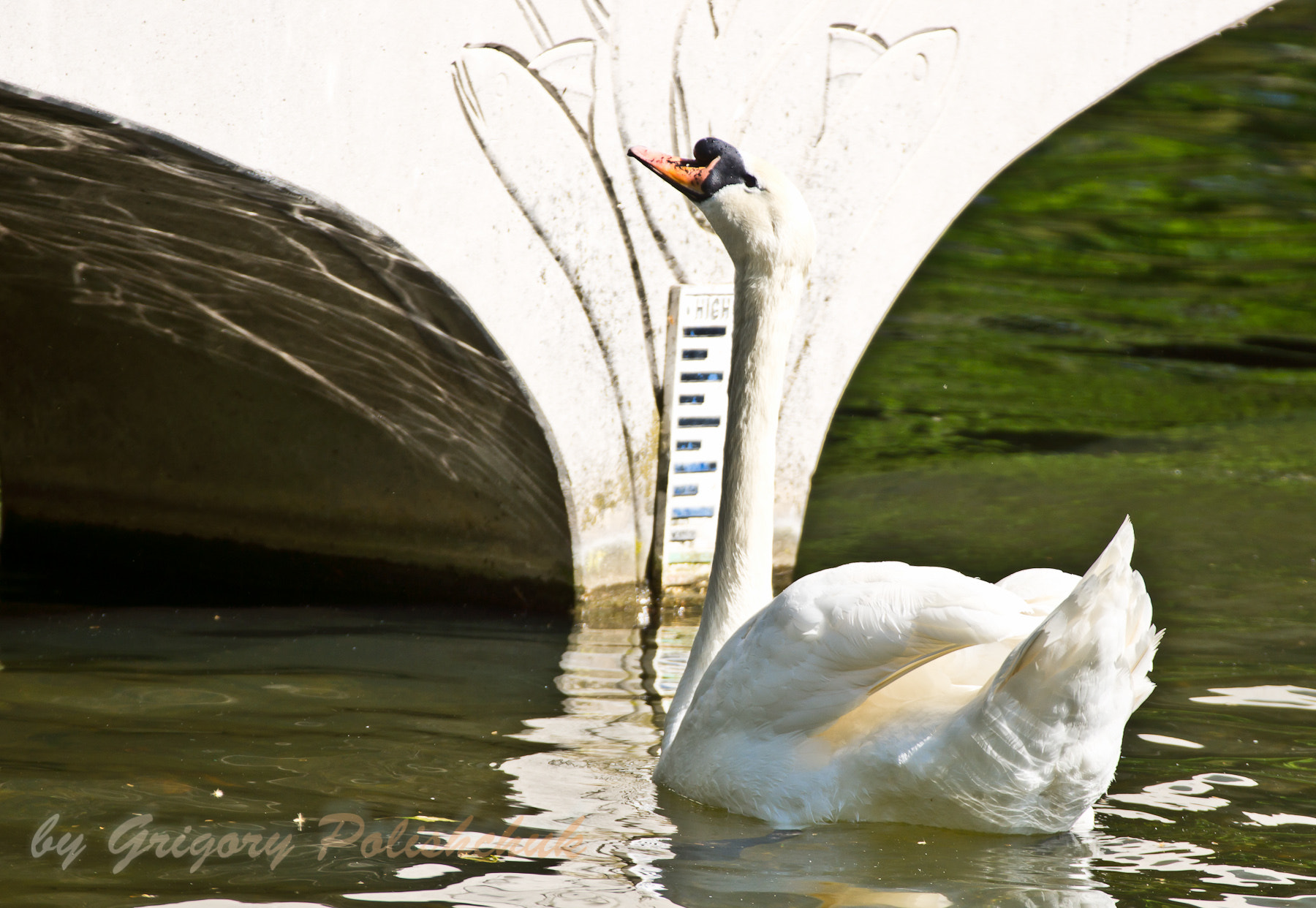 Sony Alpha DSLR-A580 sample photo. Уровни ( levels ) photography