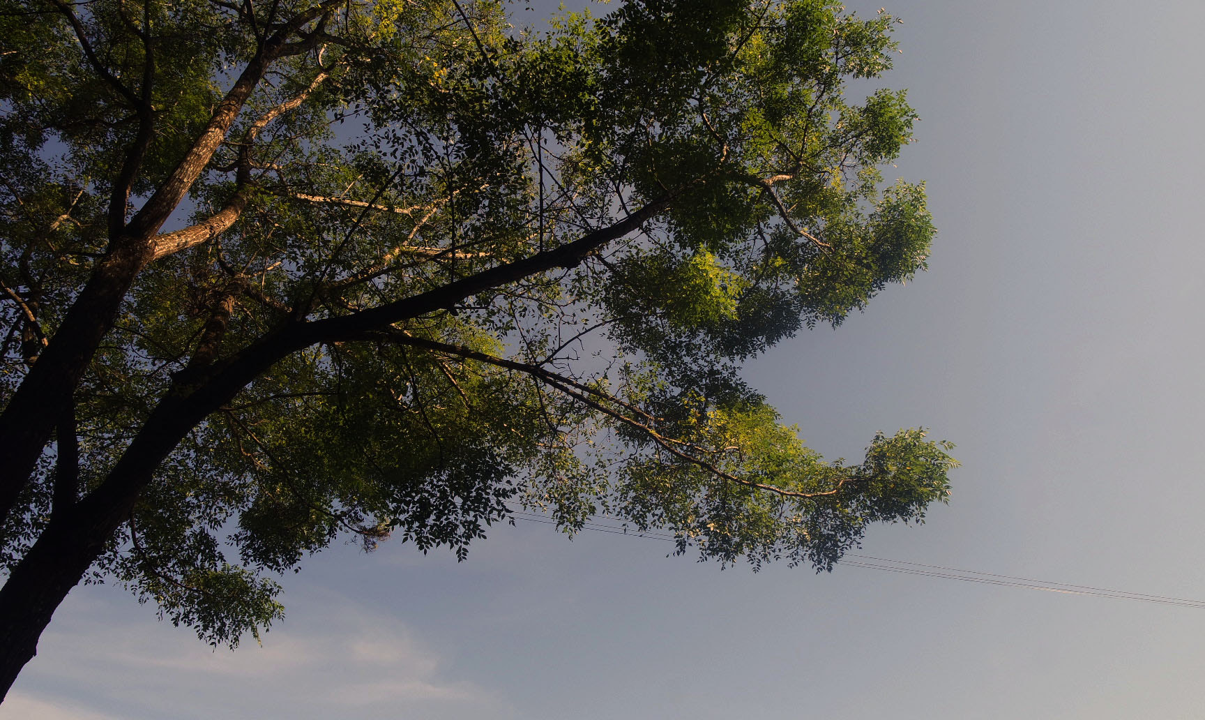Samsung NX mini sample photo. Dia de sol photography