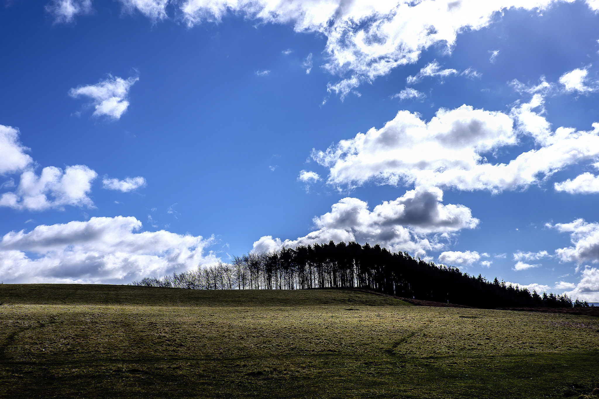 Fujifilm X-E2 + Fujifilm XF 18-135mm F3.5-5.6 R LM OIS WR sample photo. Landscape in high contrast photography