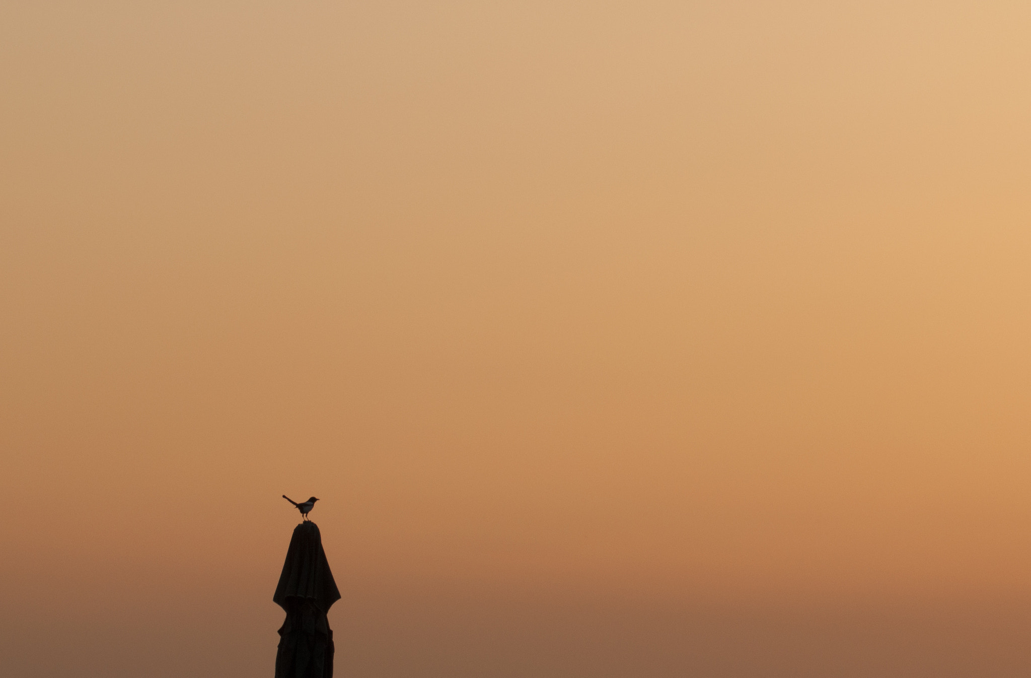 Sigma 105mm F2.8 EX DG OS HSM sample photo. Sunset photography