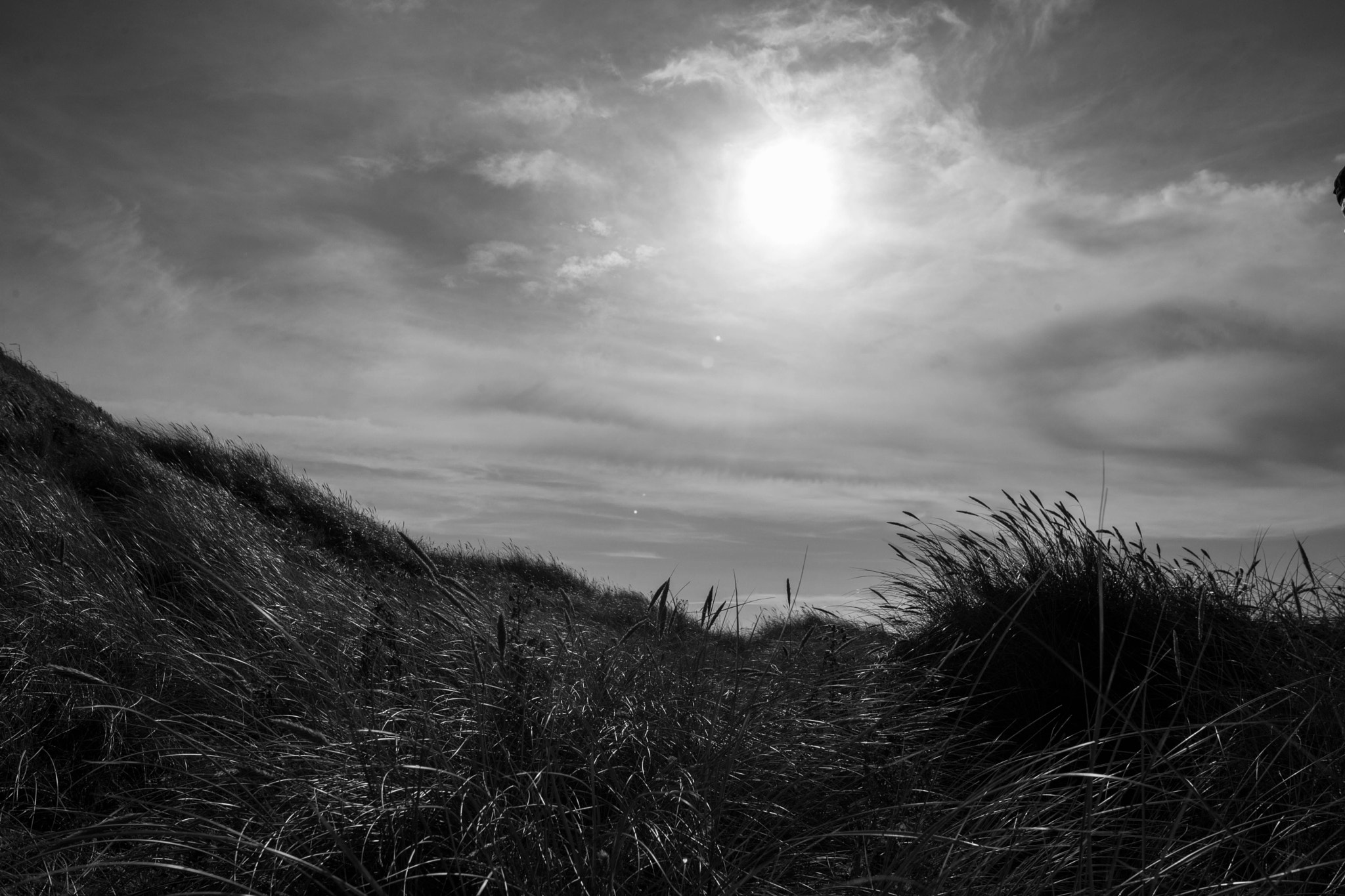 Sigma 28mm f/1.8 DG Macro EX sample photo. By the sea photography