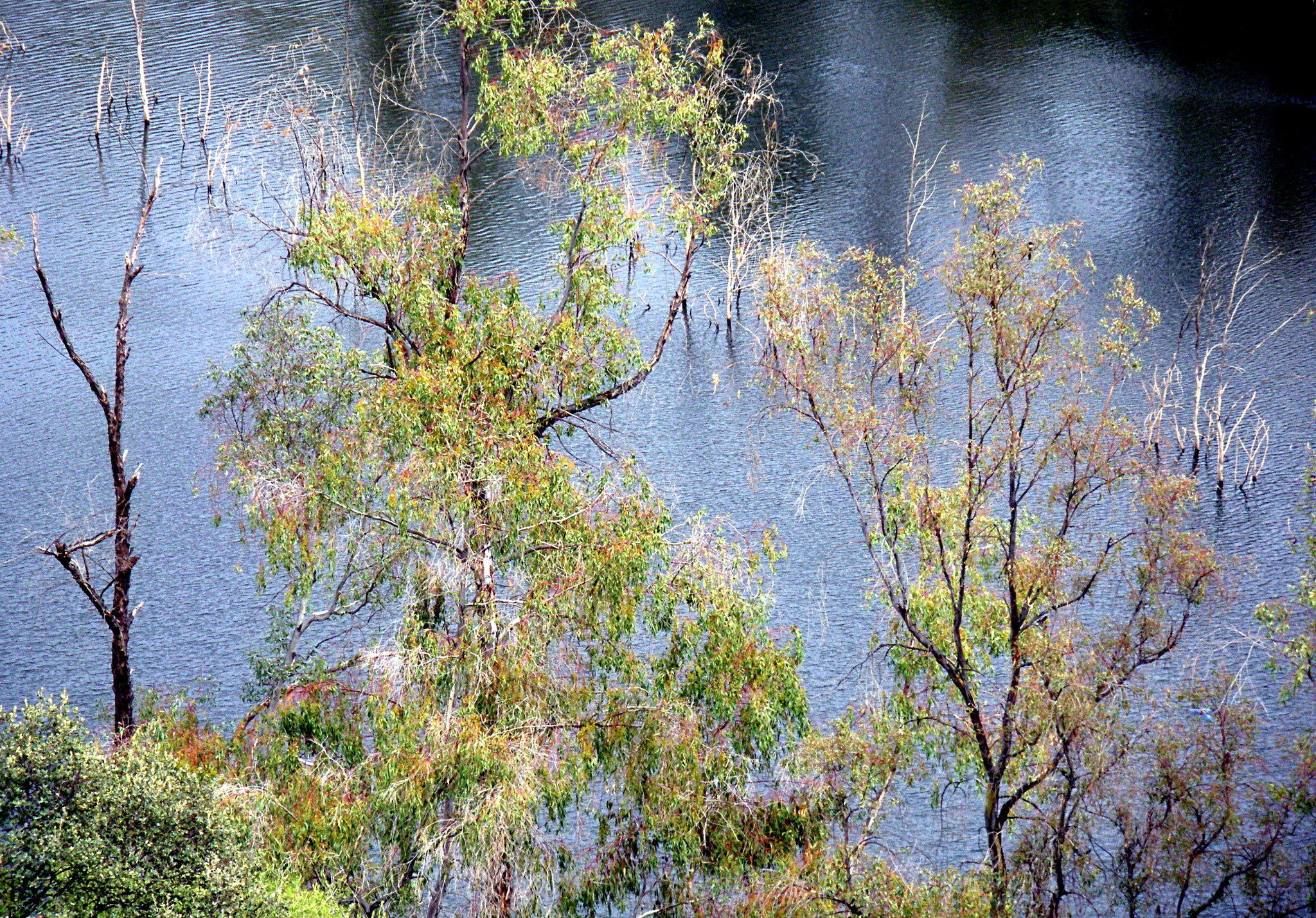 Pentax Optio M60 sample photo. Returning to a place photography