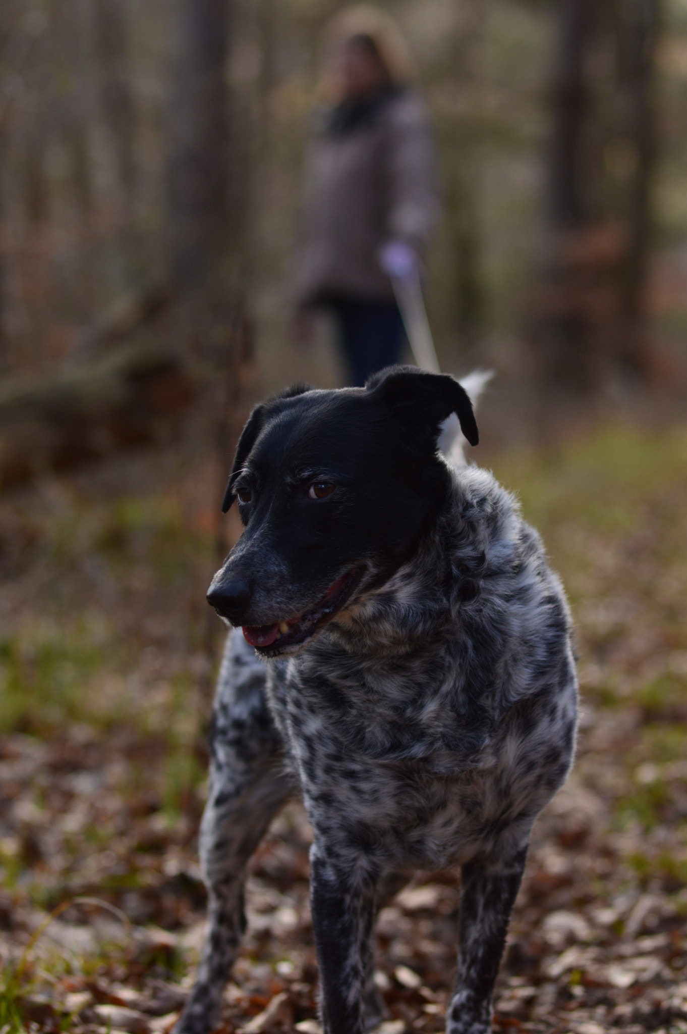 Samyang 85mm F1.4 Aspherical IF sample photo. Samyang 85 photography