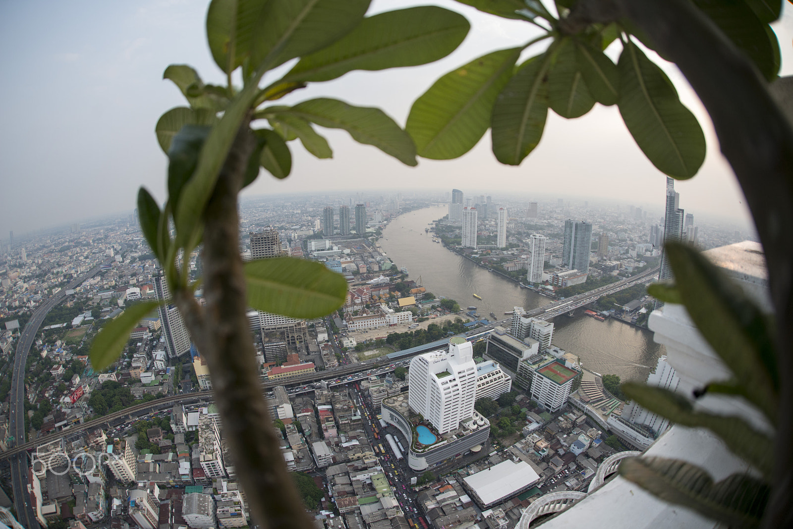 Nikon D800 + Sigma 15mm F2.8 EX DG Diagonal Fisheye sample photo. Asia thailand bangkok riverside skyline photography