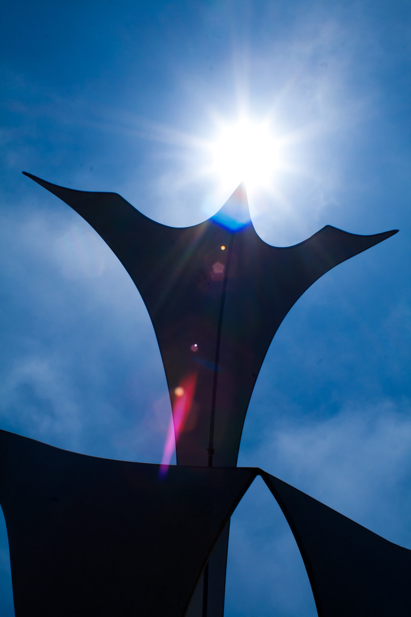 Canon EF 28-90mm f/4-5.6 sample photo. In flight to the sun photography