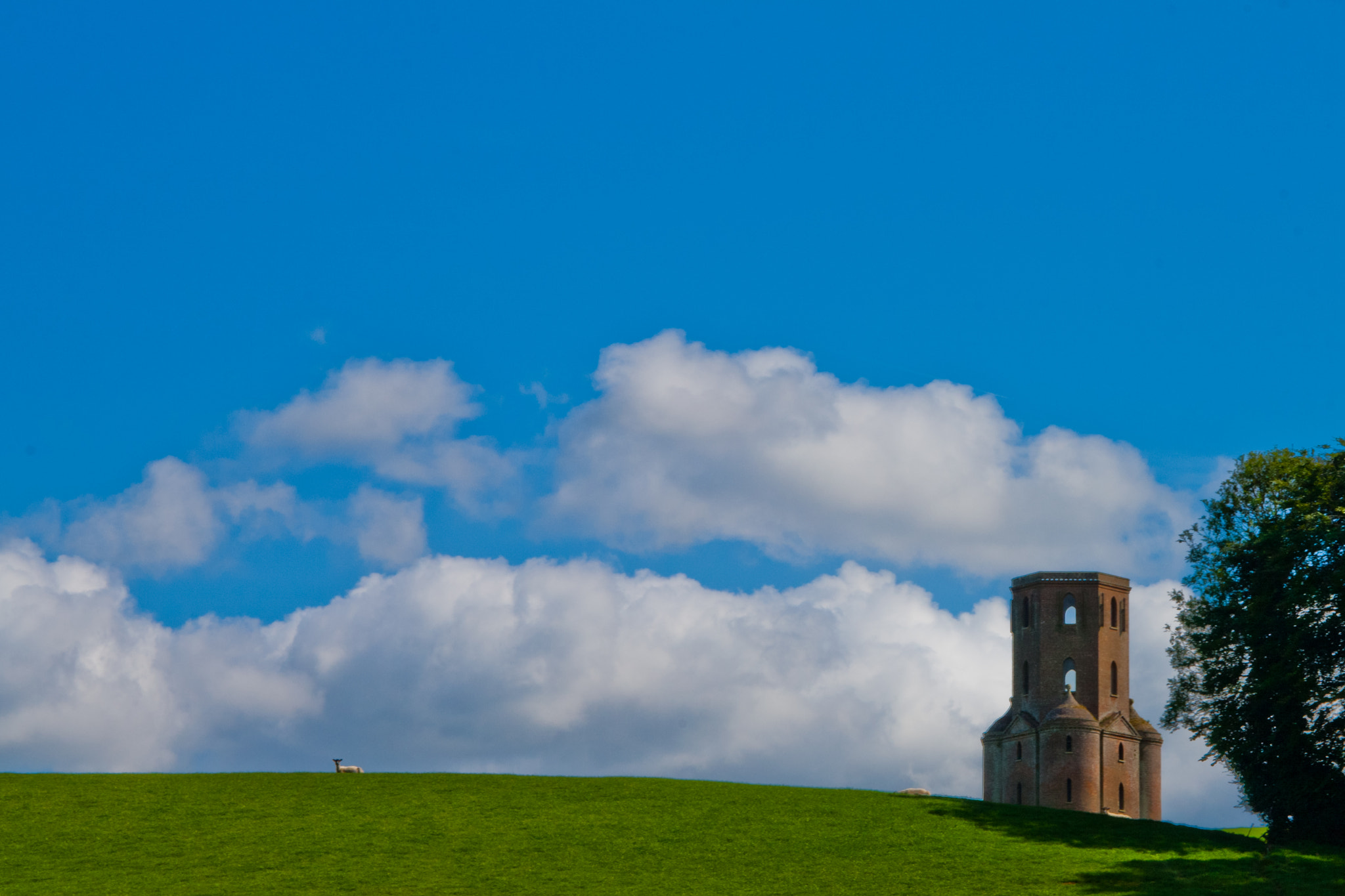 Canon EF 28-90mm f/4-5.6 sample photo. Towering above photography