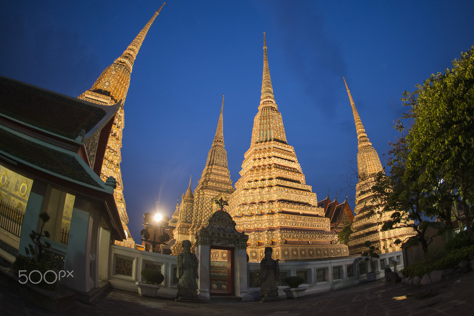Nikon D800 + Sigma 15mm F2.8 EX DG Diagonal Fisheye sample photo. Asia thailand bangkok wat pho photography