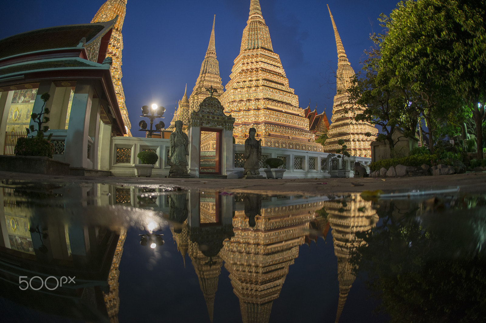 Nikon D800 + Sigma 15mm F2.8 EX DG Diagonal Fisheye sample photo. Asia thailand bangkok wat pho photography