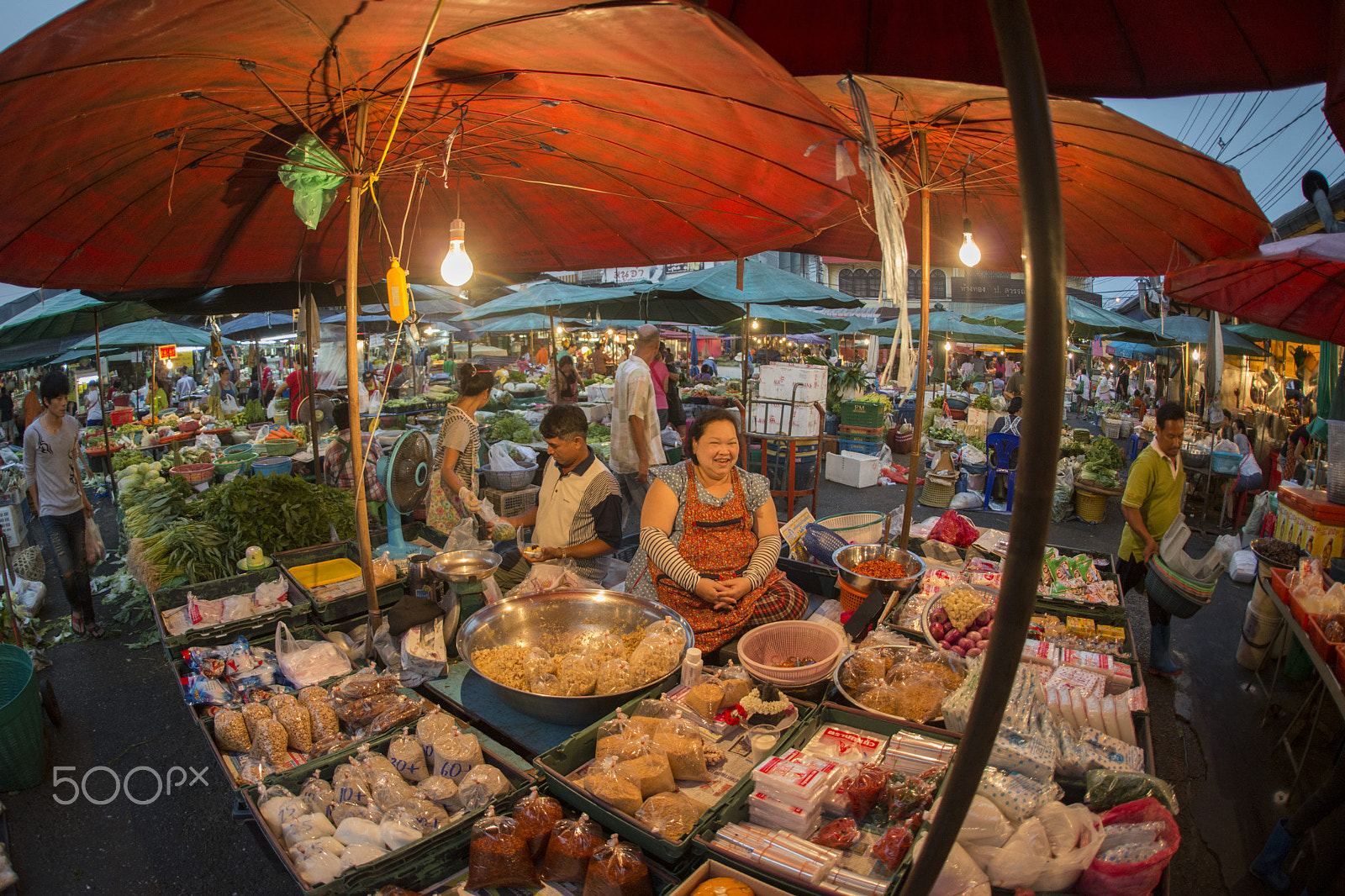 Nikon D800 + Sigma 15mm F2.8 EX DG Diagonal Fisheye sample photo. Asia thailand bangkok nothaburi morning market photography