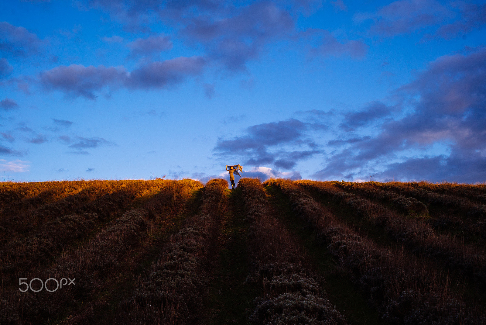 40mm F2.8 OSS sample photo. The first breath of spring photography