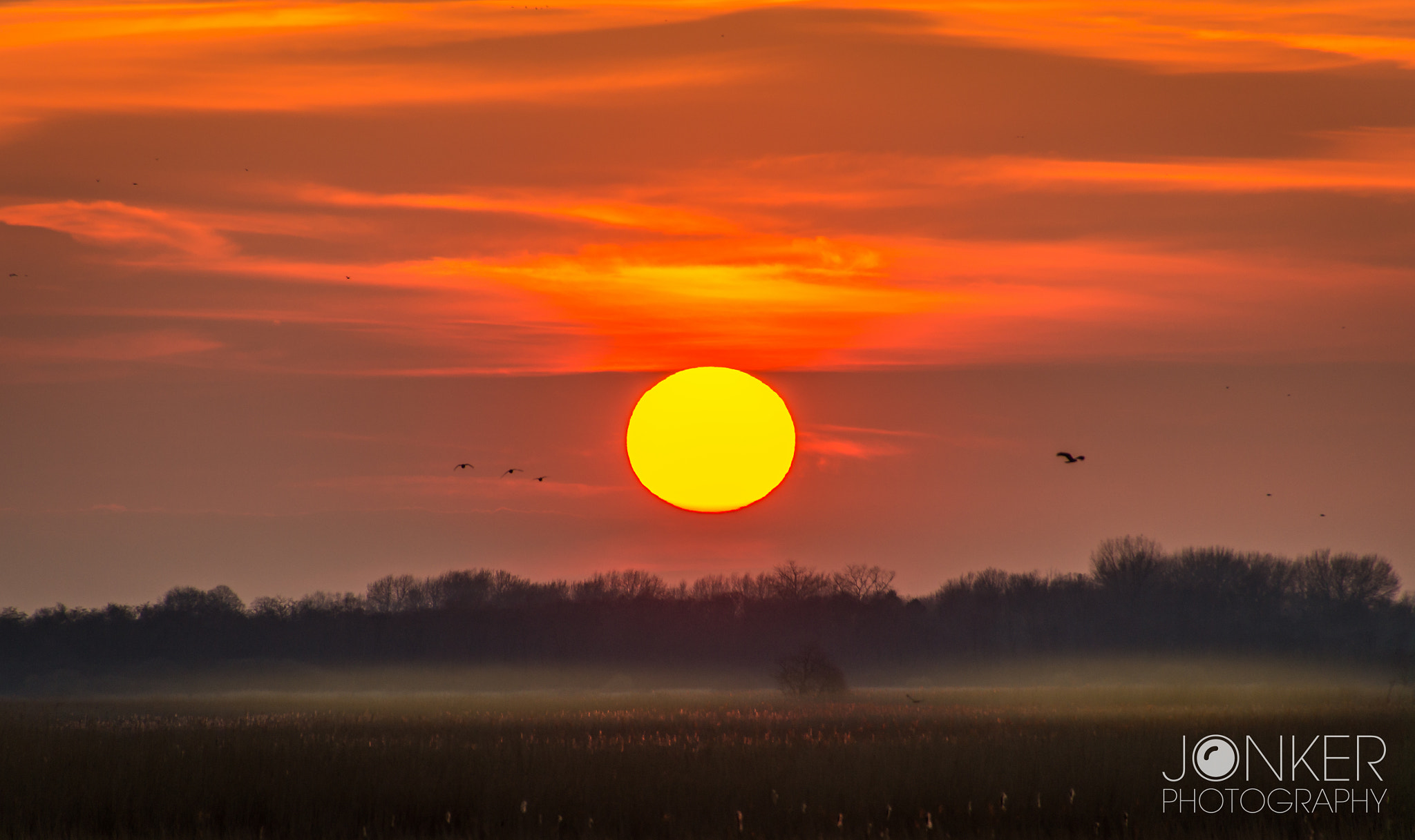 Sony SLT-A58 + DT 18-270mm F3.5-6.3 SSM sample photo. Sunset @ onlanden photography