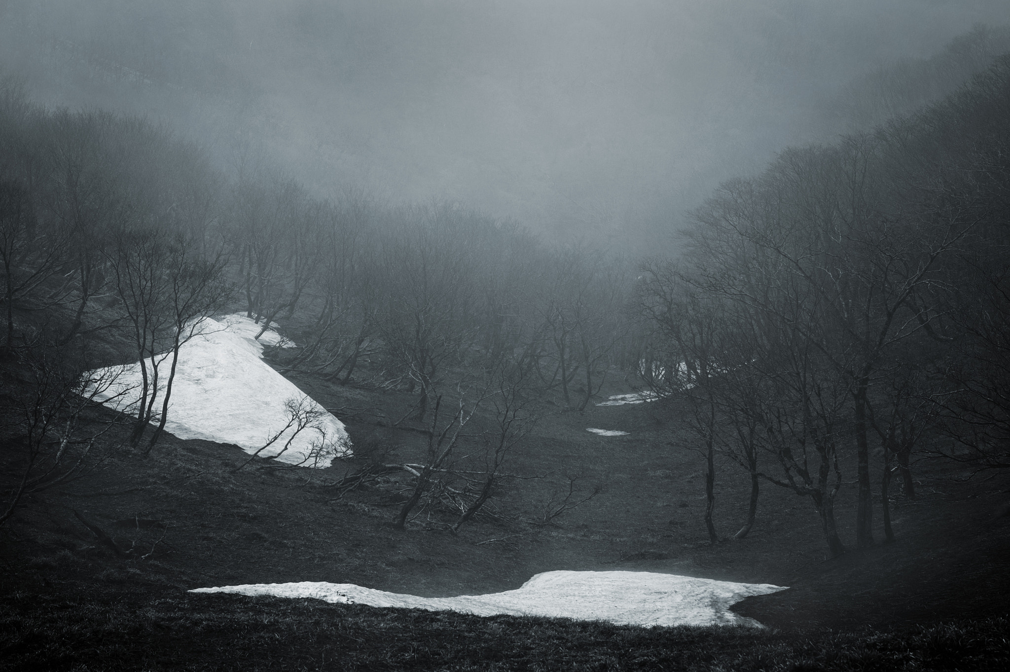 Pentax K-3 + Pentax smc DA* 55mm F1.4 SDM sample photo. Mt.oikedake / mie prefecture photography