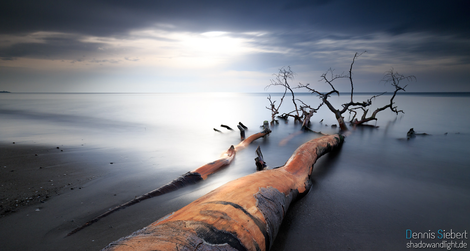 Canon EOS-1D X + Canon EF 16-35mm F4L IS USM sample photo. Baum am weststrand photography