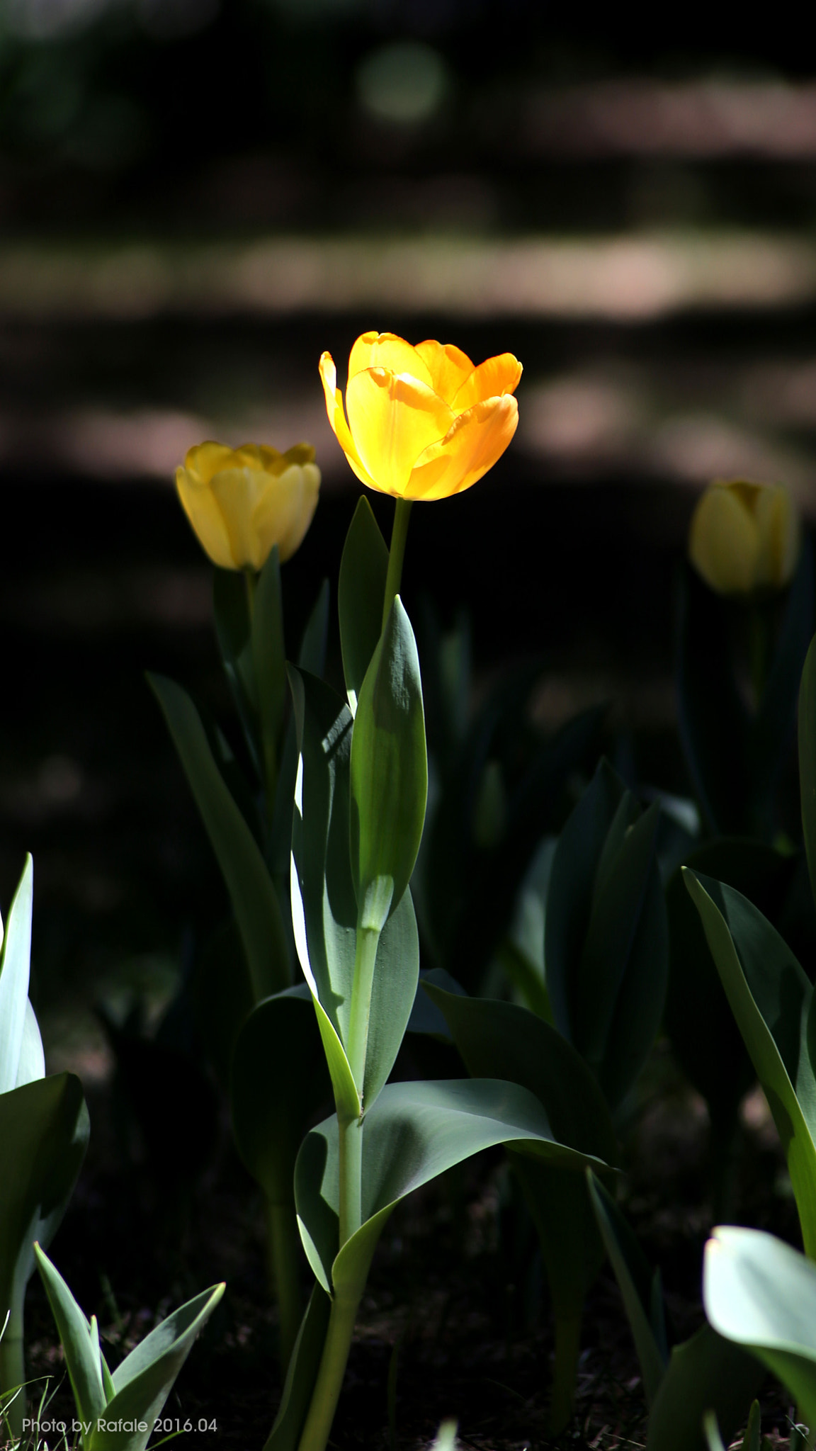 Canon EF 70-210mm f/3.5-4.5 USM sample photo