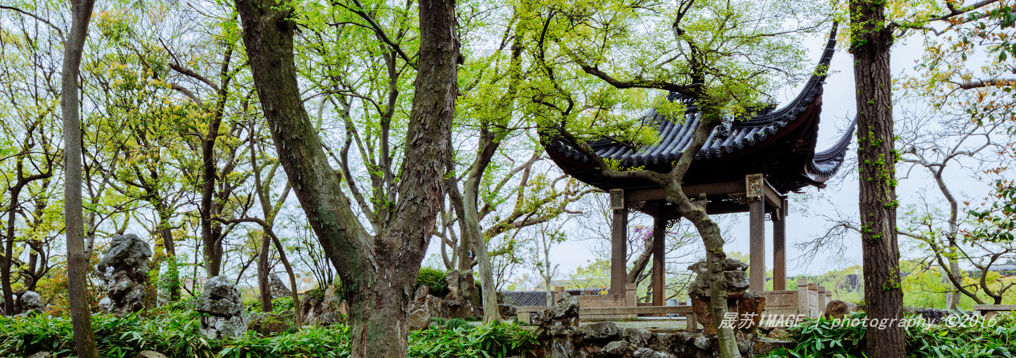 Canon TS-E 24.0mm f/3.5 L II sample photo. 《理》之一 photography