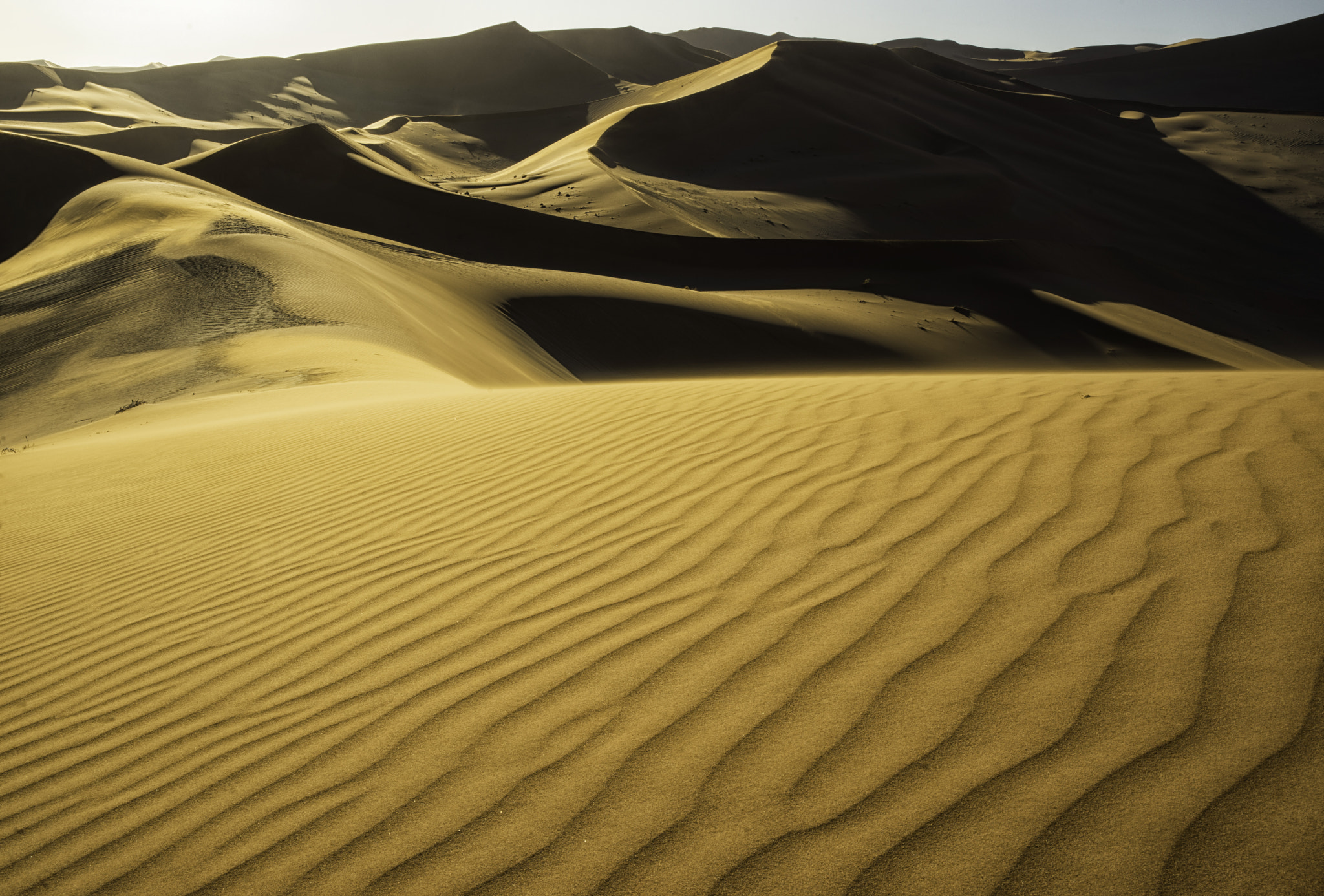 Sony a7R sample photo. Namib photography