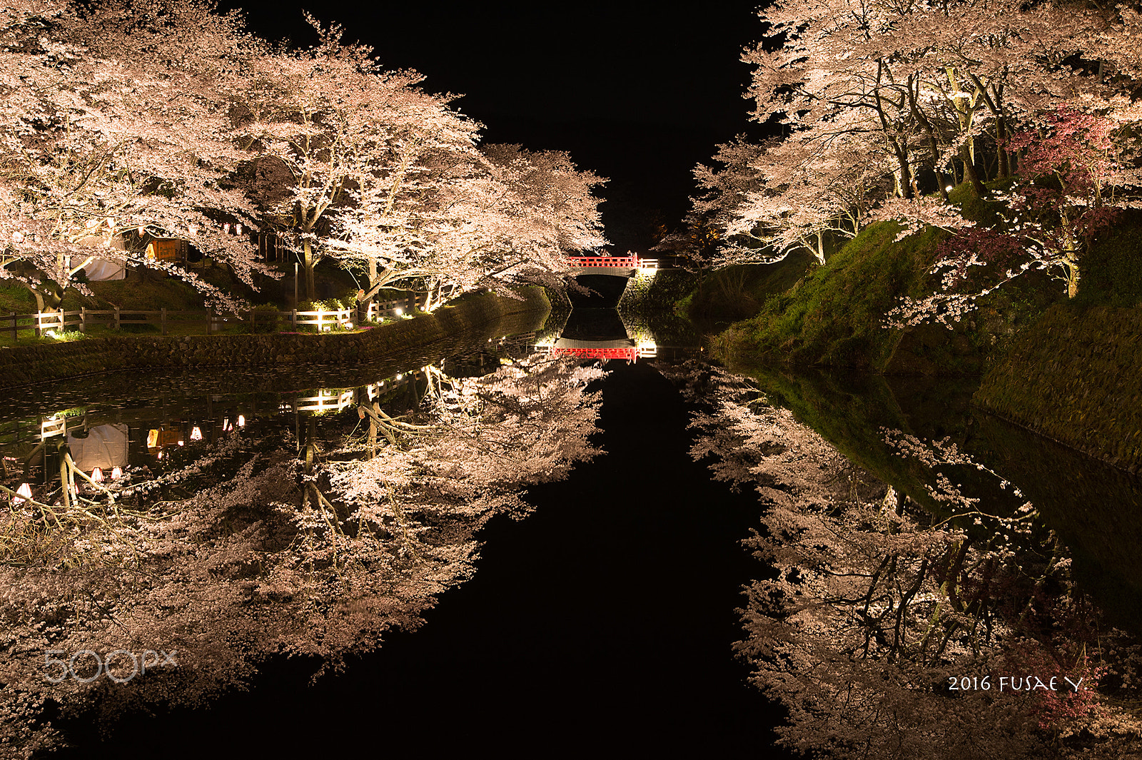 Nikon Df sample photo. Reflection photography