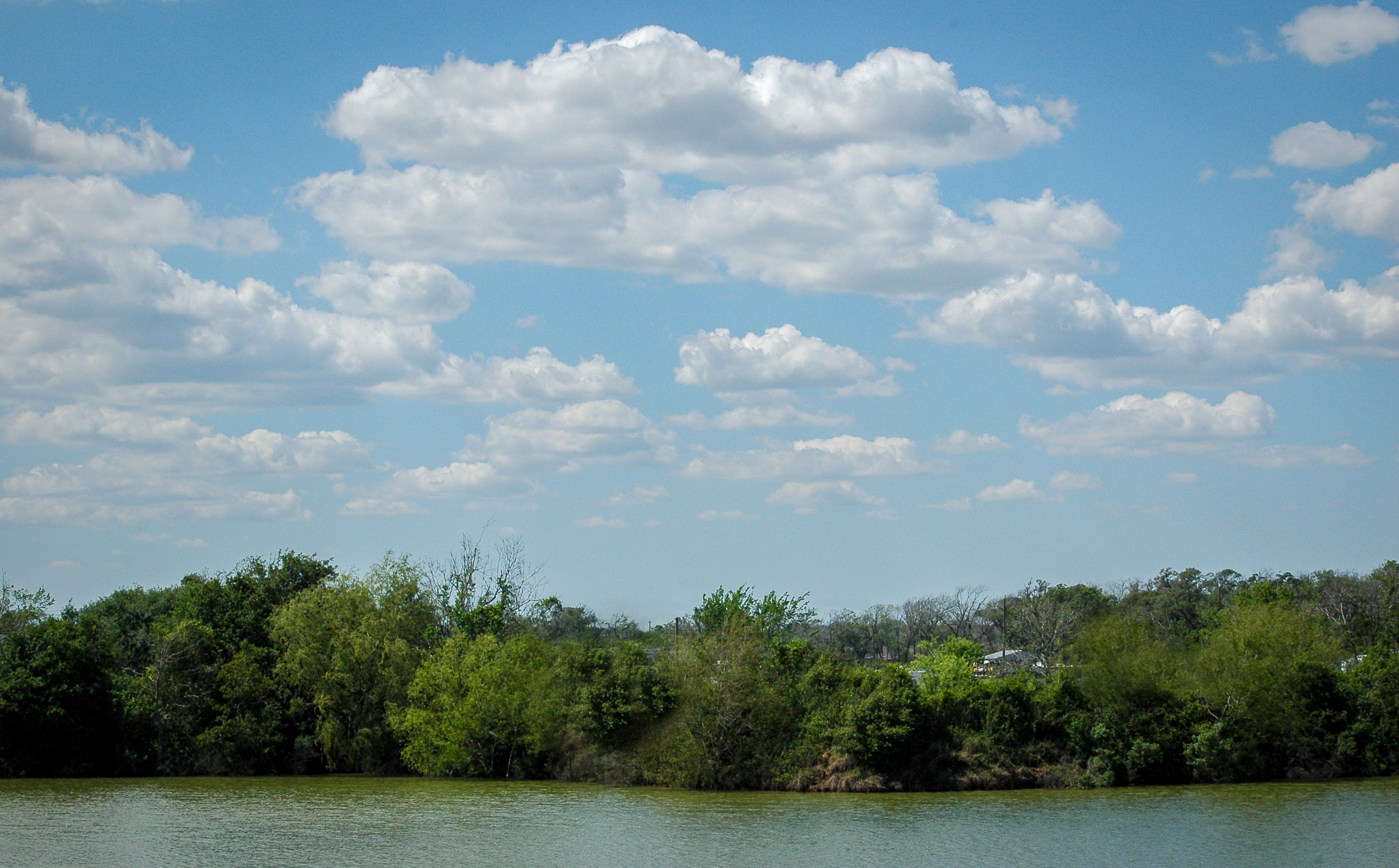 Nikon D70 sample photo. Spring on the texas coast photography