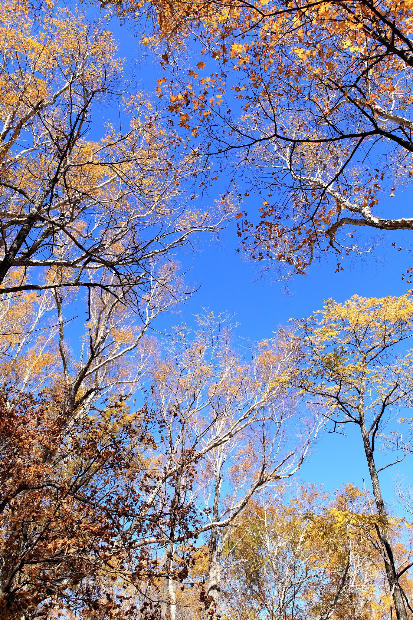 Canon EF 24-70mm F2.8L USM sample photo