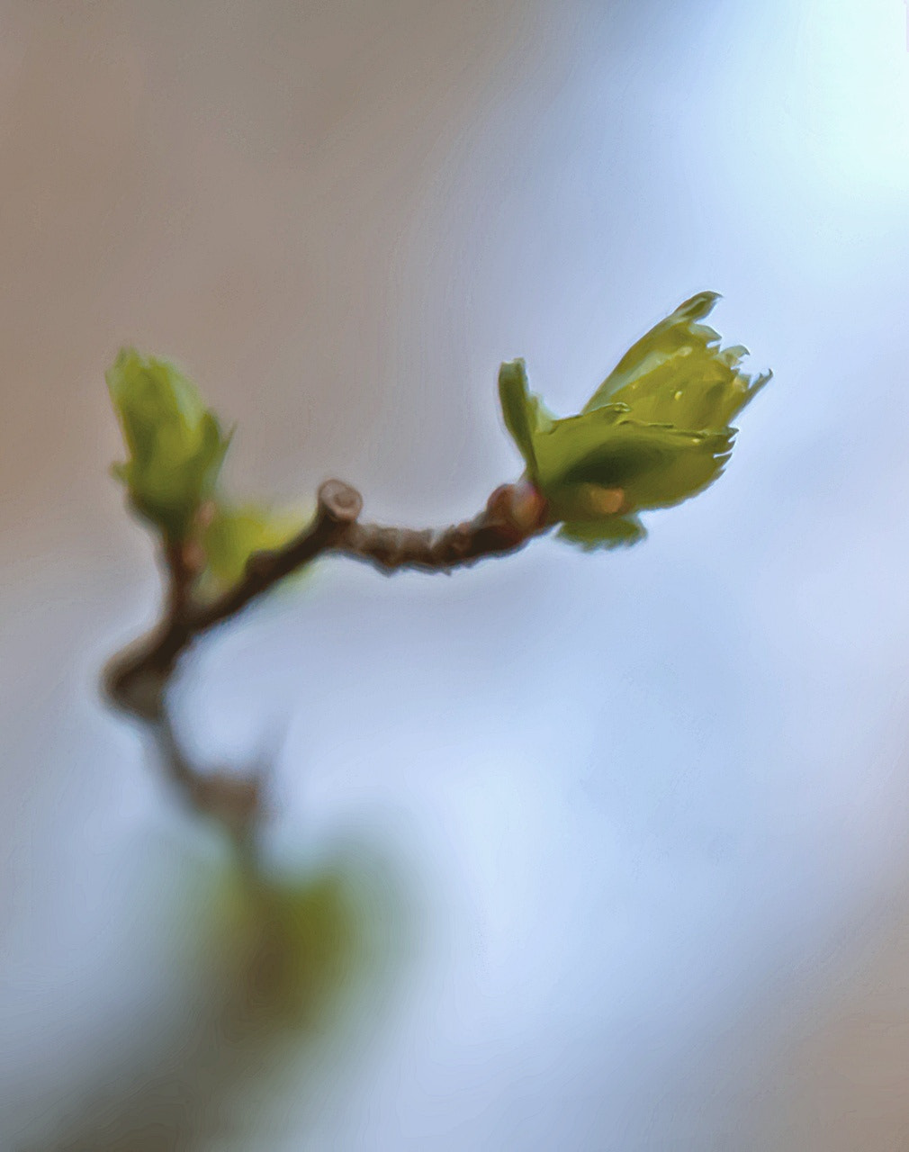 Sony Alpha DSLR-A300 + DT 18-270mm F3.5-6.3 SSM sample photo. Nadzieja photography
